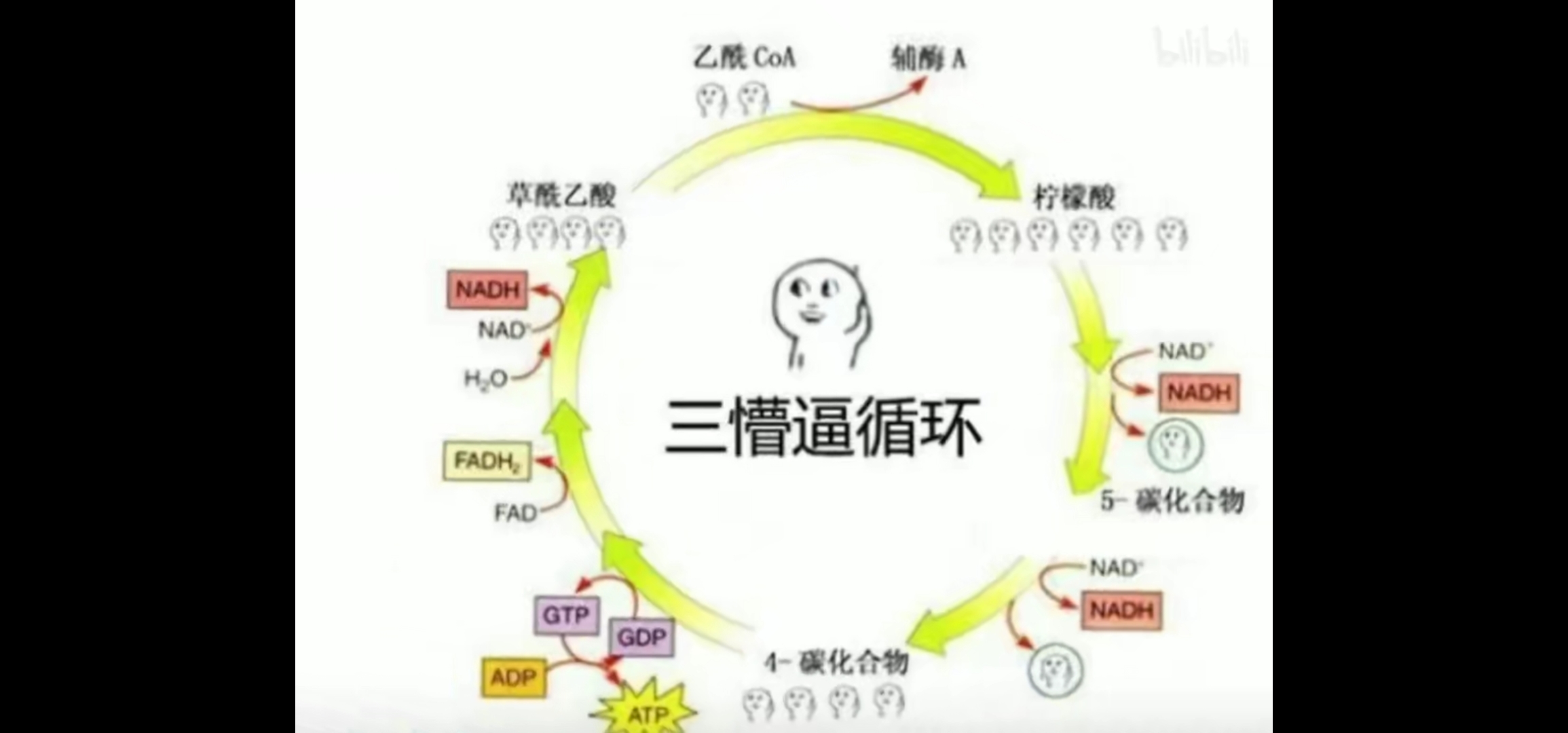 Screenshot_20201128_214219_tv.danmaku.bili.jpg