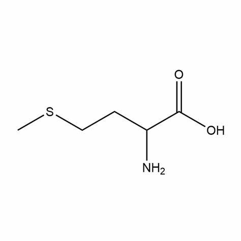 甲硫氨酸.jpg