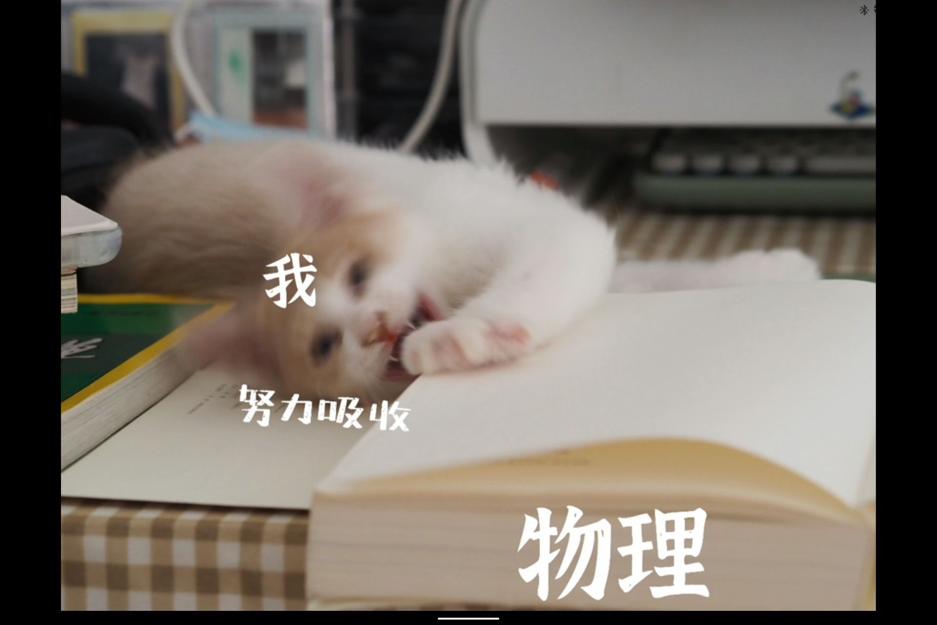 1703068489504.jpg