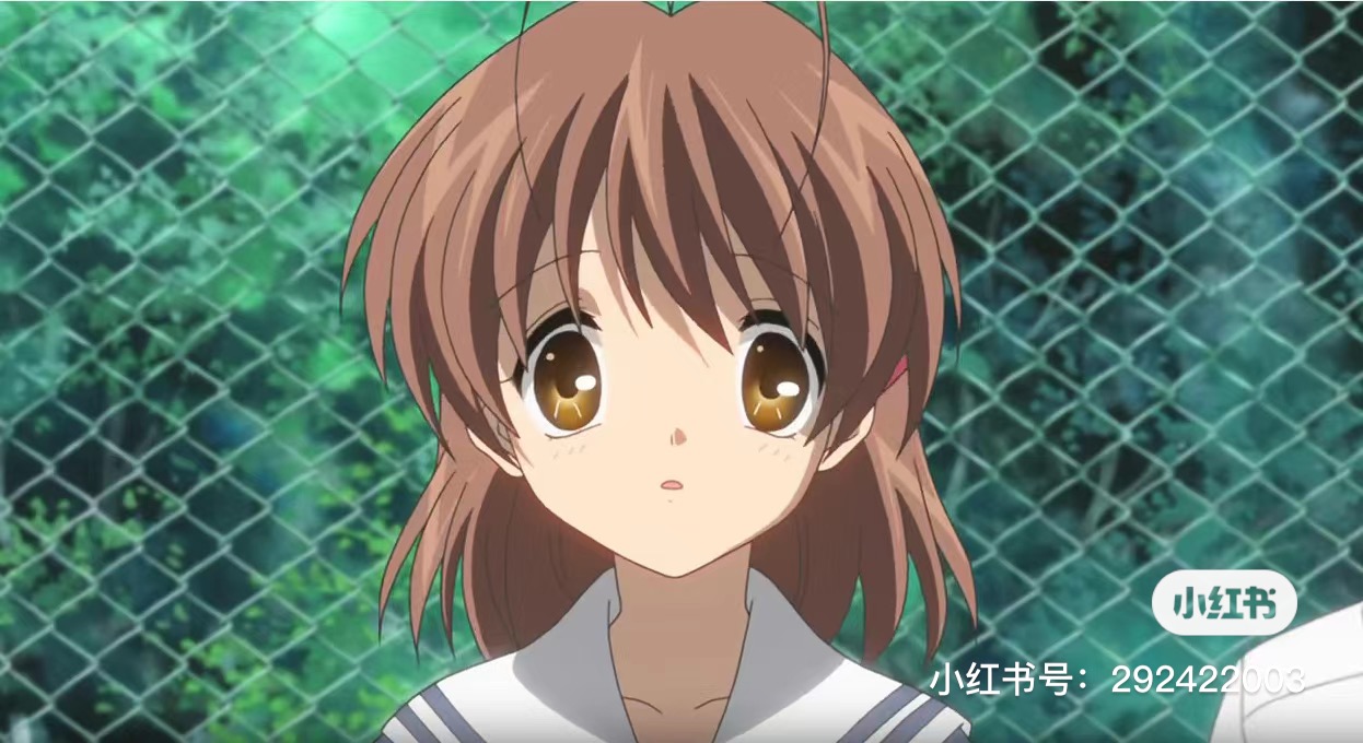E07B4D1C-2468-4C3F-8D23-8BEF83ACC899.jpeg