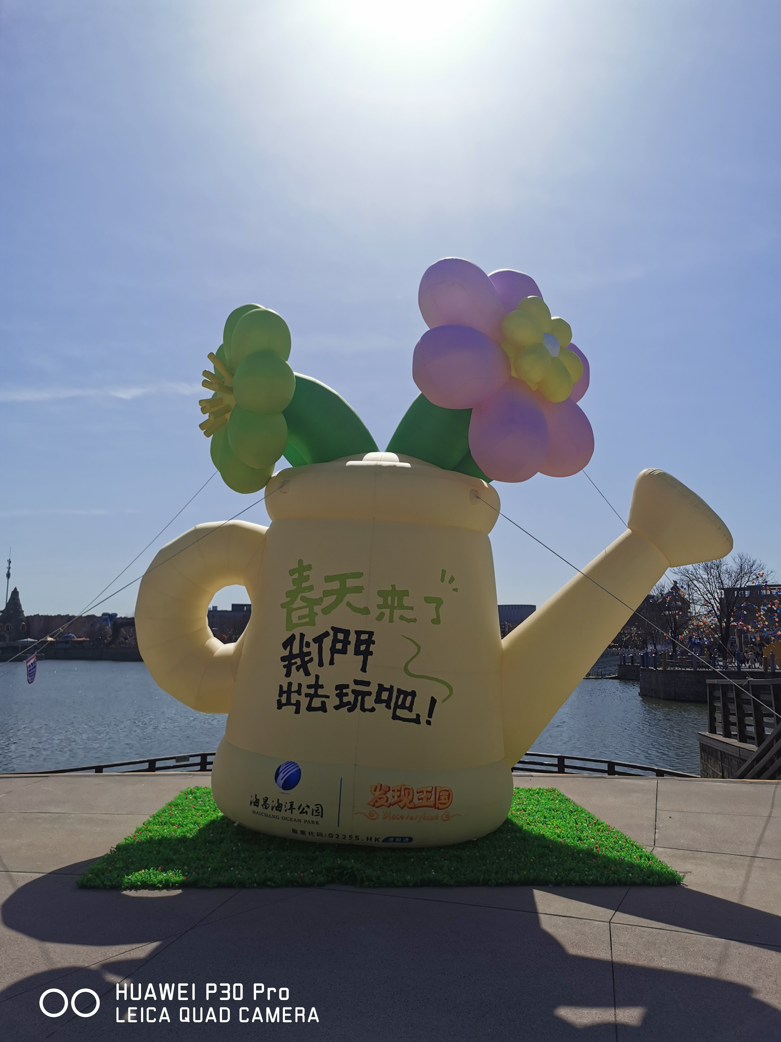 IMG_20240404_093634.jpg