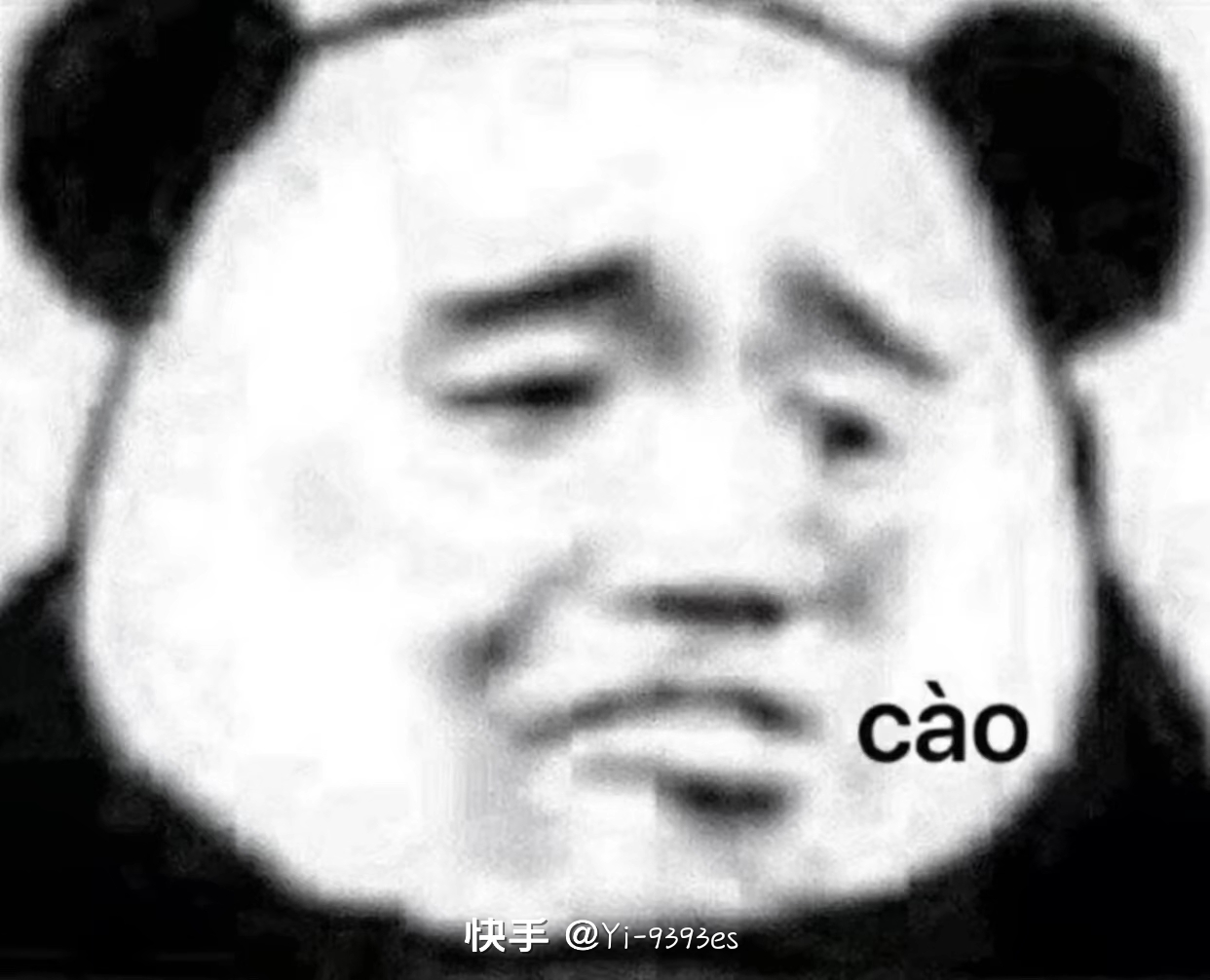 51920874880869550721712496953741.jpg