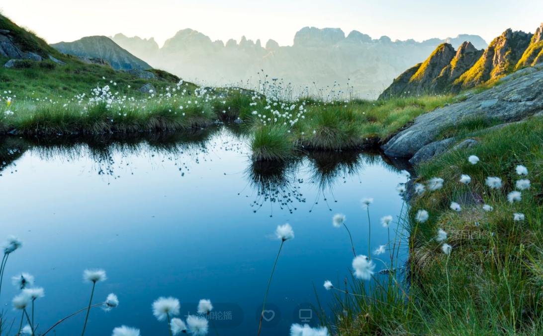 屏幕截图 2024-04-14 173411.png