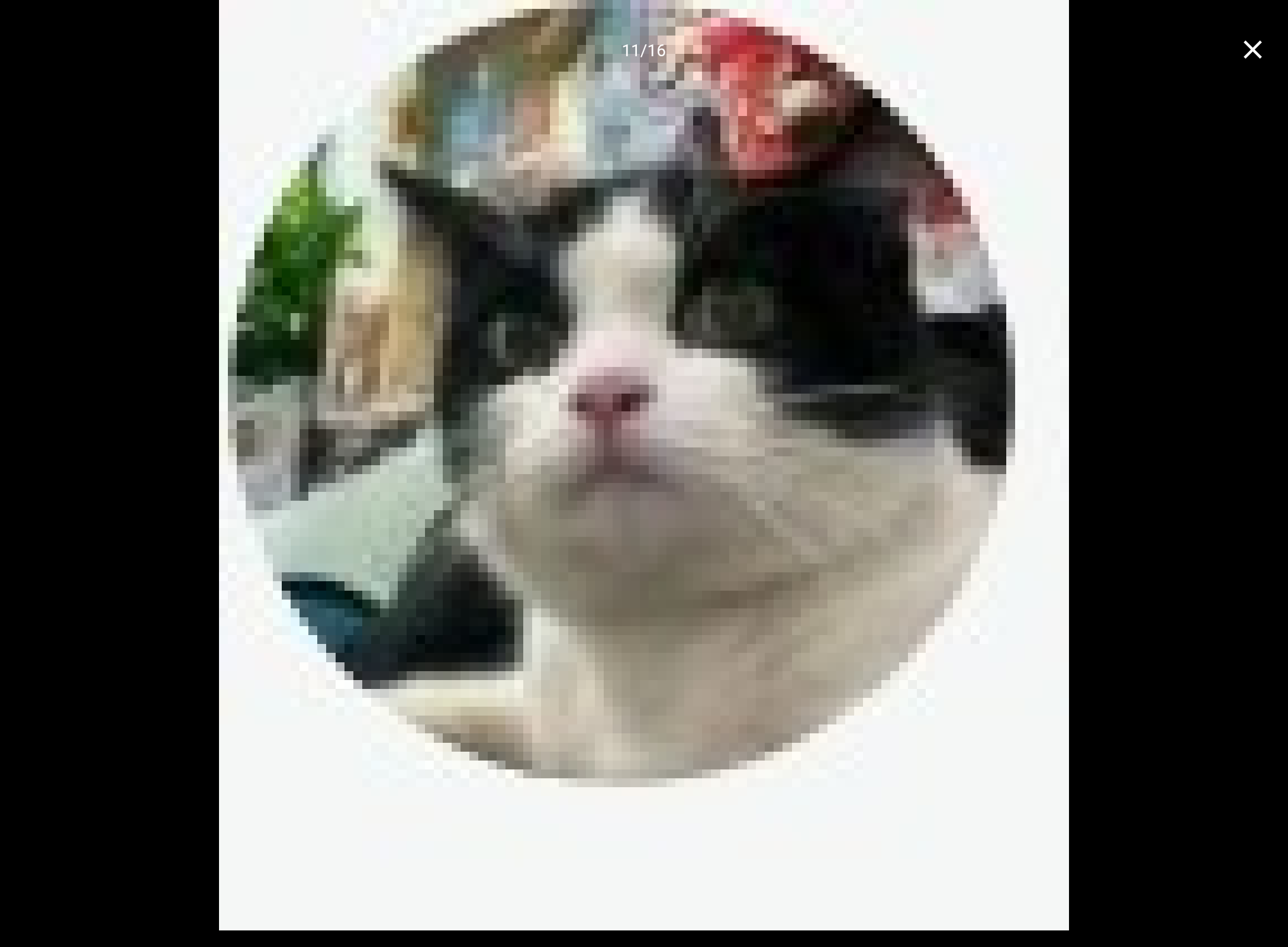 Screenshot_20240330-215242.png