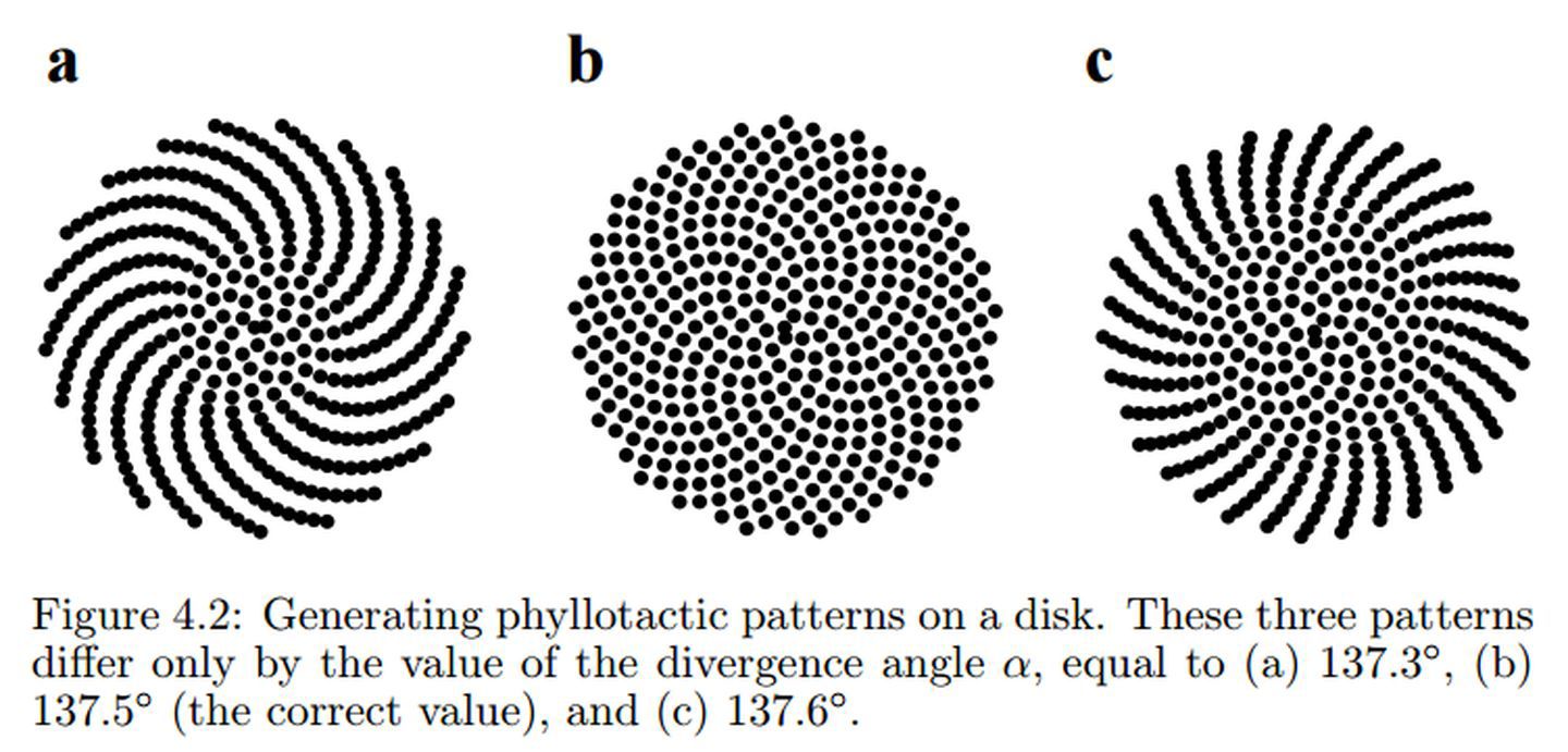 1713170240691.jpg