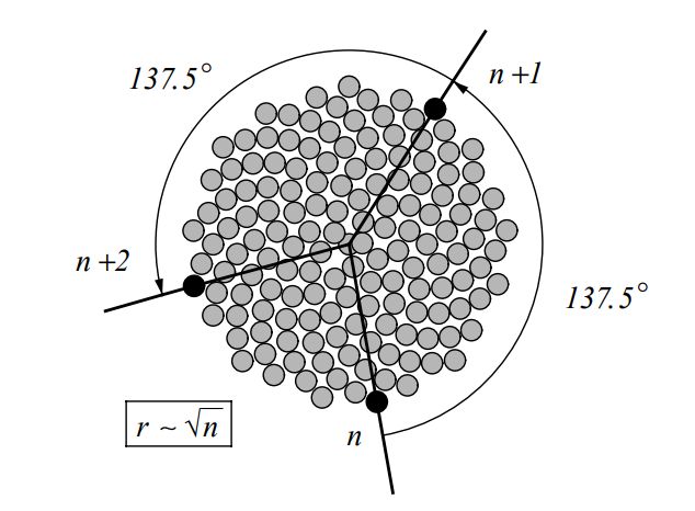 1713170234107.jpg