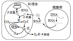 4371bdf7da5122624f604b788240dd3e_t01a8dfdc7459e5ea9a.png