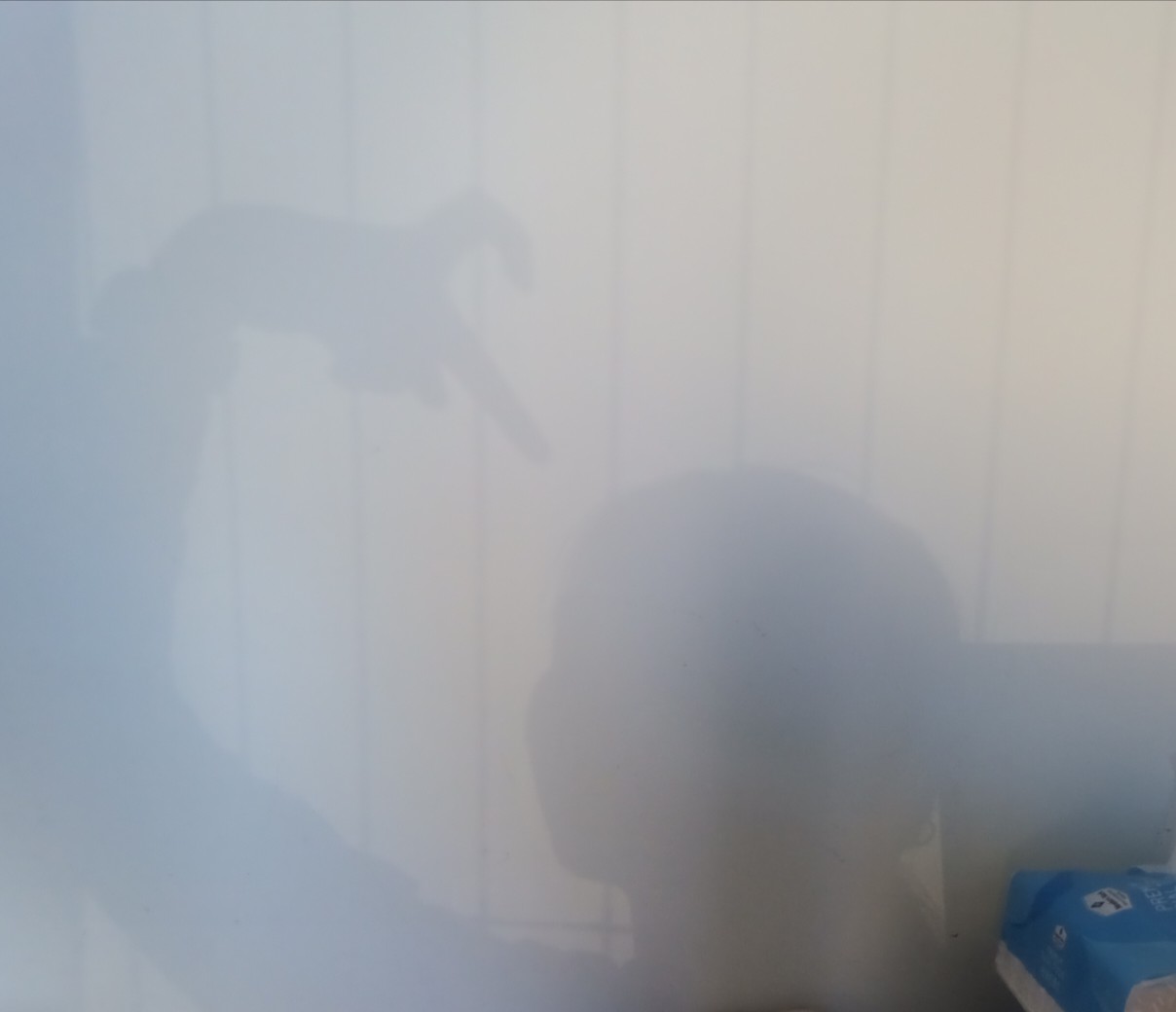 IMG_20240513_184328_158.jpg