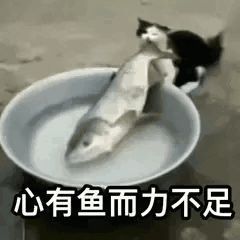 1710077976531.jpg