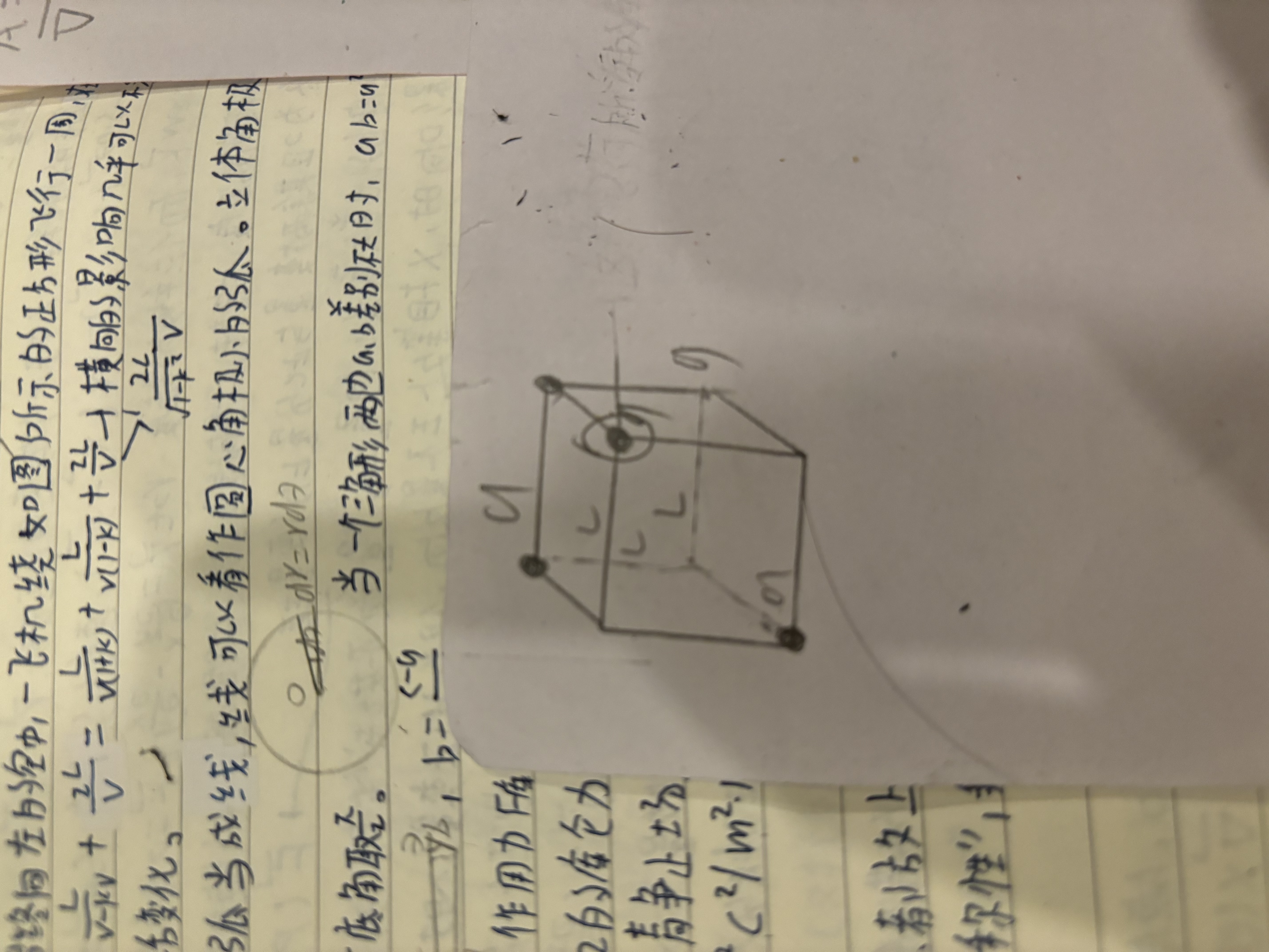 IMG_2619.jpeg