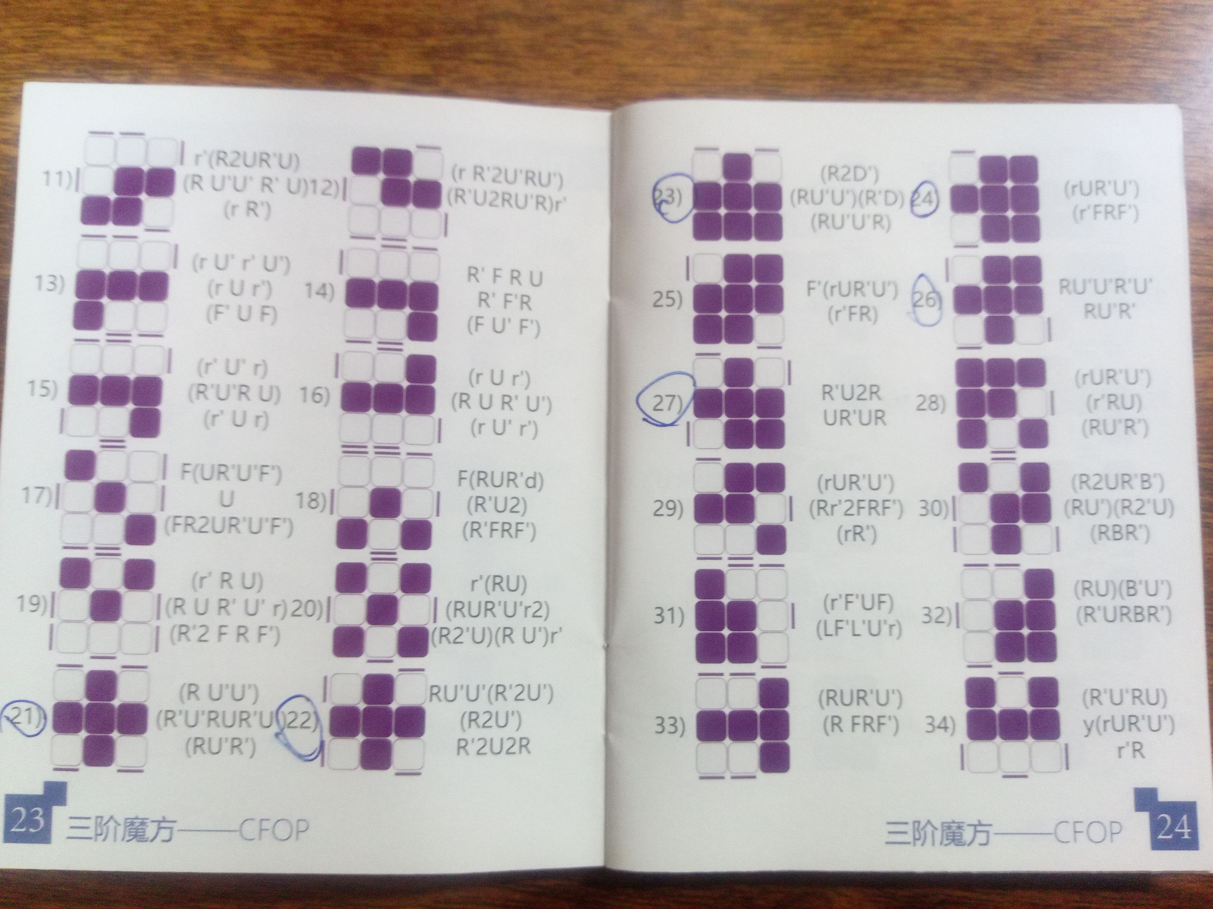 1691653345129.jpg