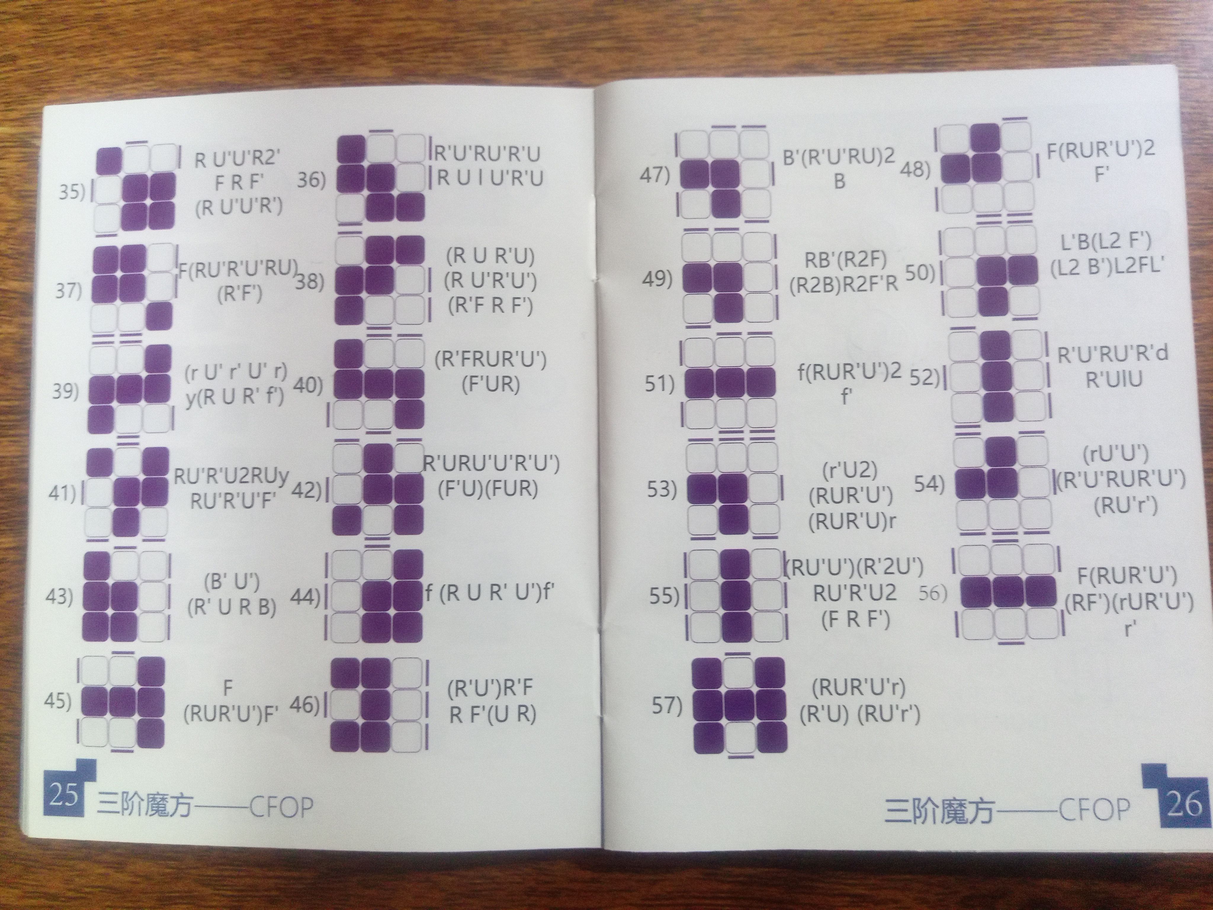 1691653352211.jpg