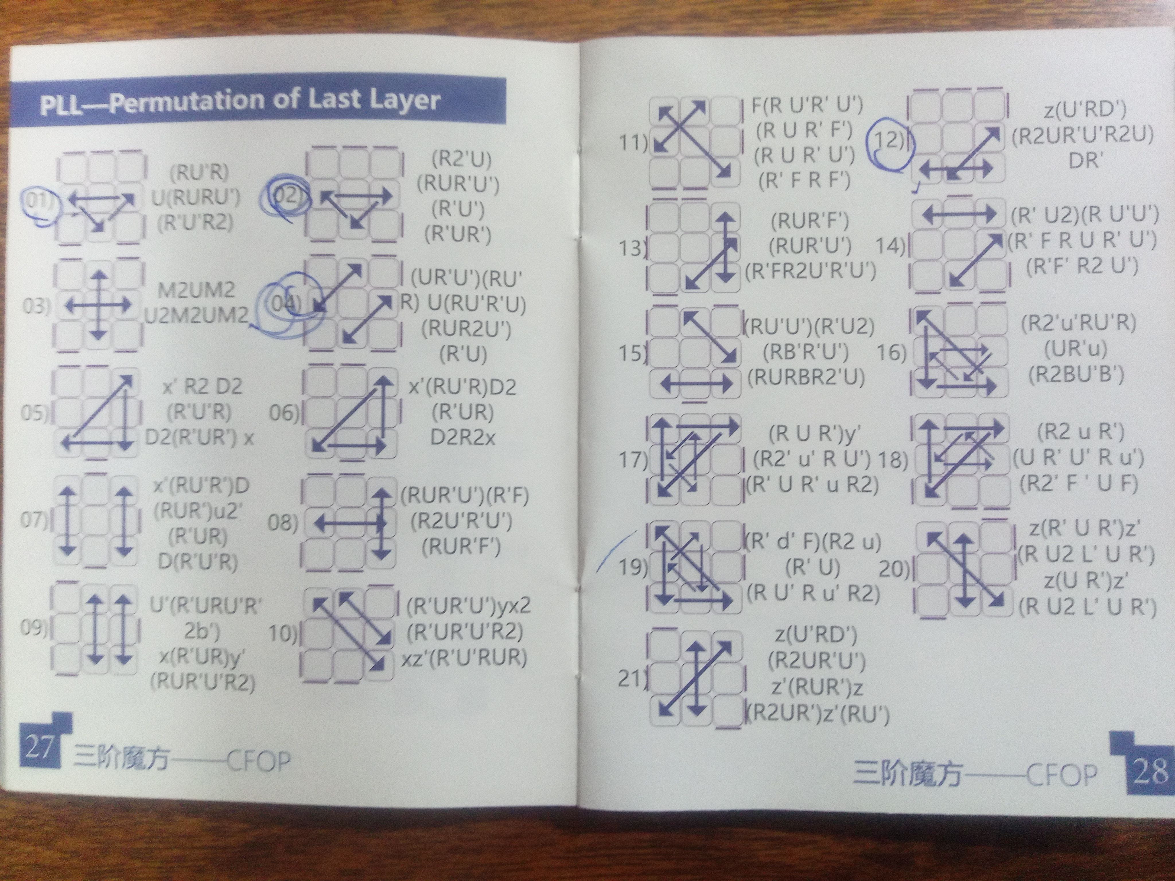 1691653367583.jpg