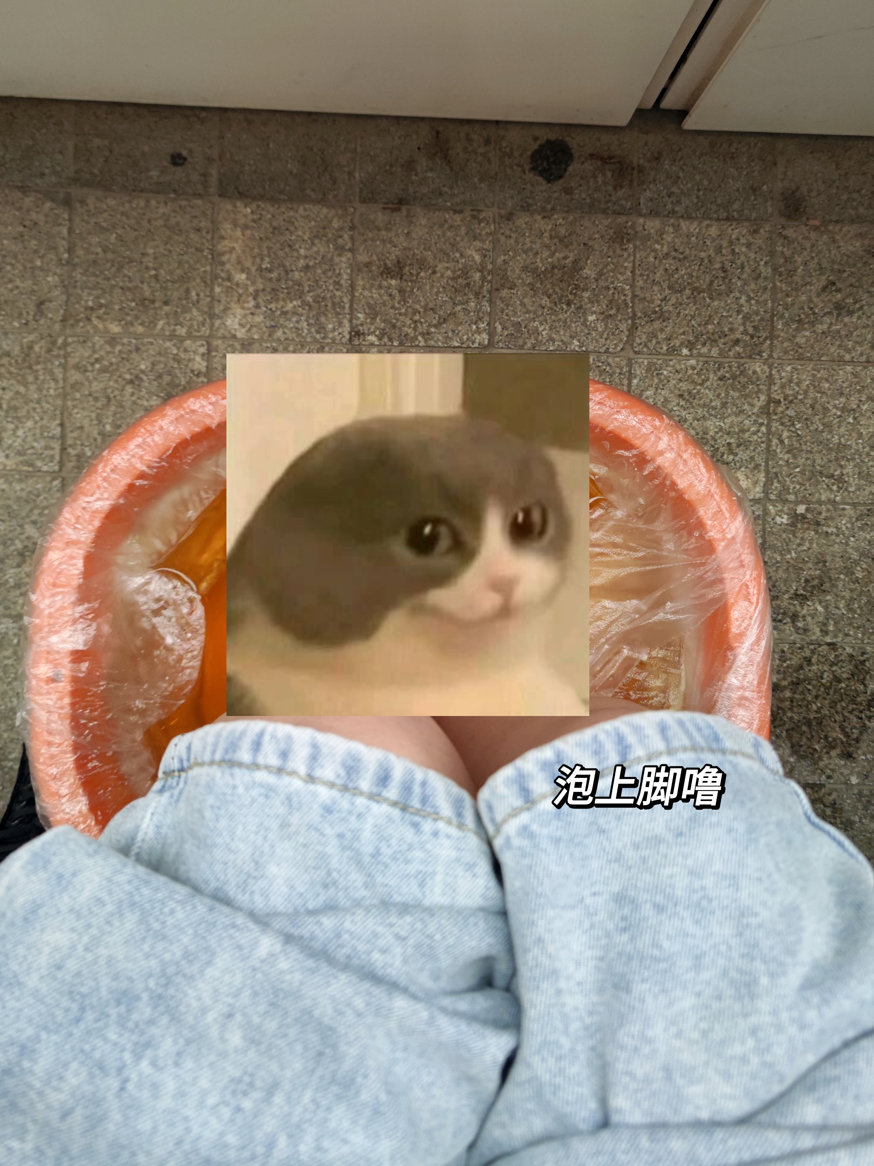 微信图片_20240624142418.jpg