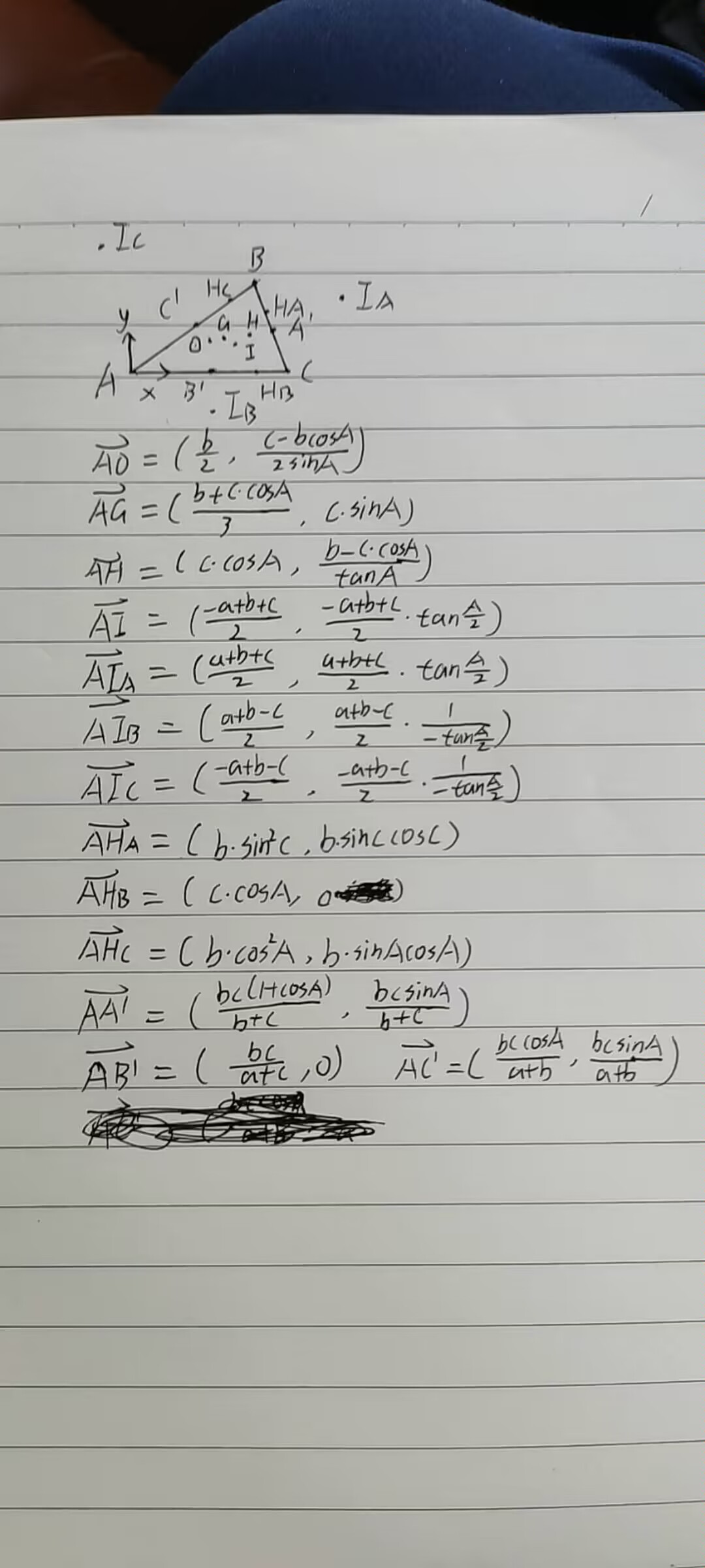 Image_1719583715292.jpg