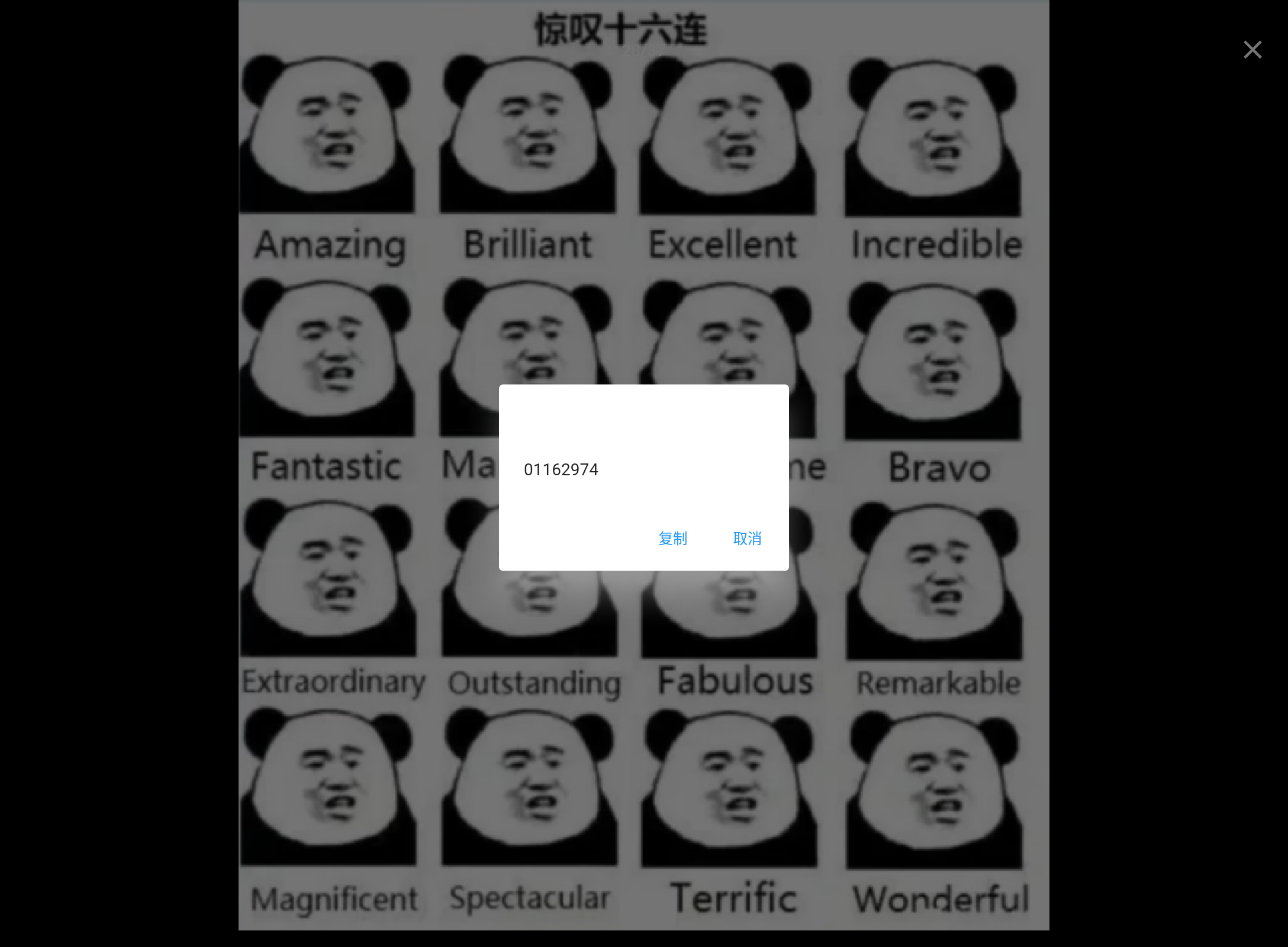 Screenshot_20240707-202549.png
