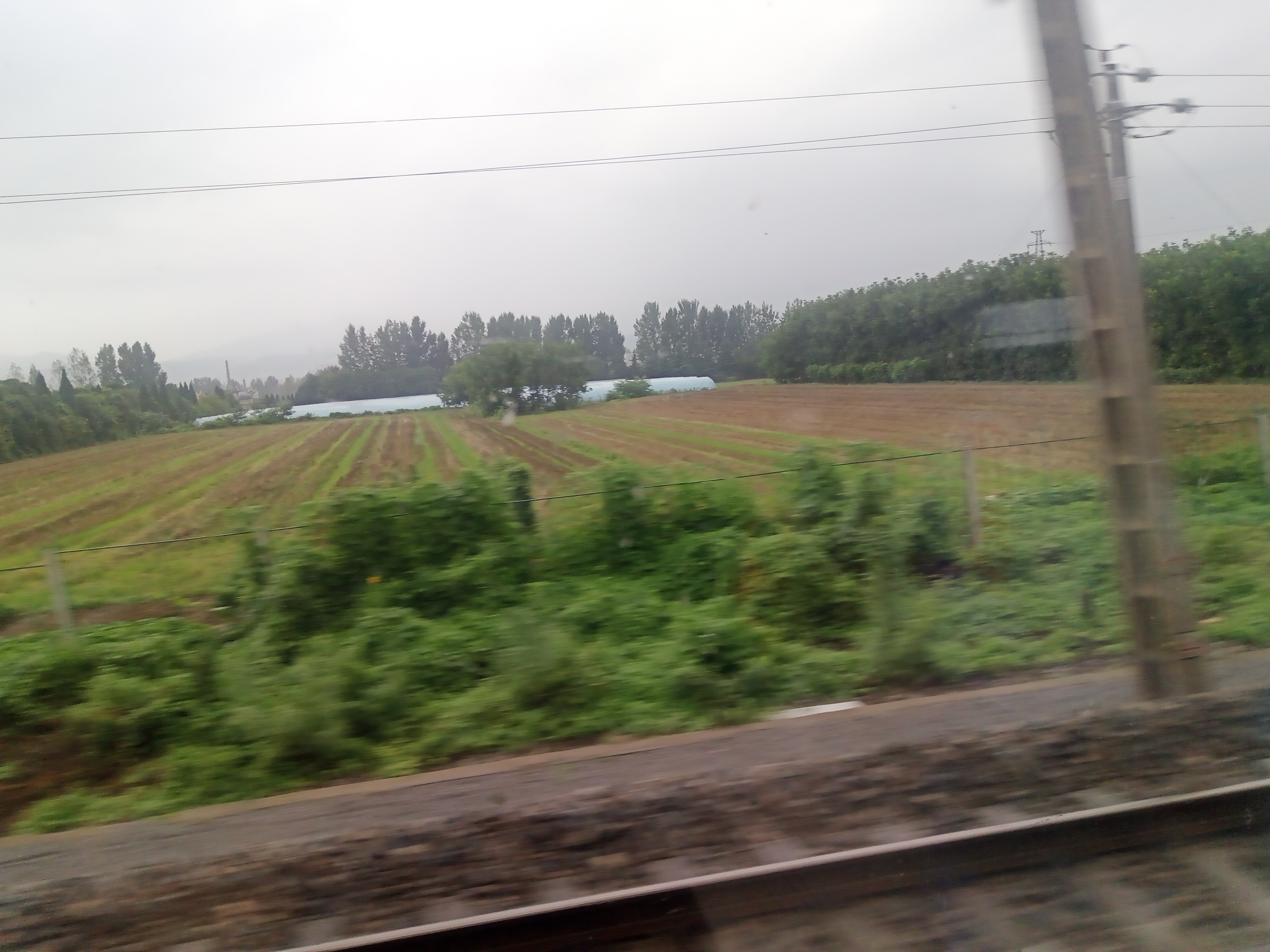 IMG_20240714_085302_689.jpg