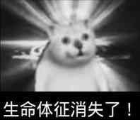 1720962315391.jpg