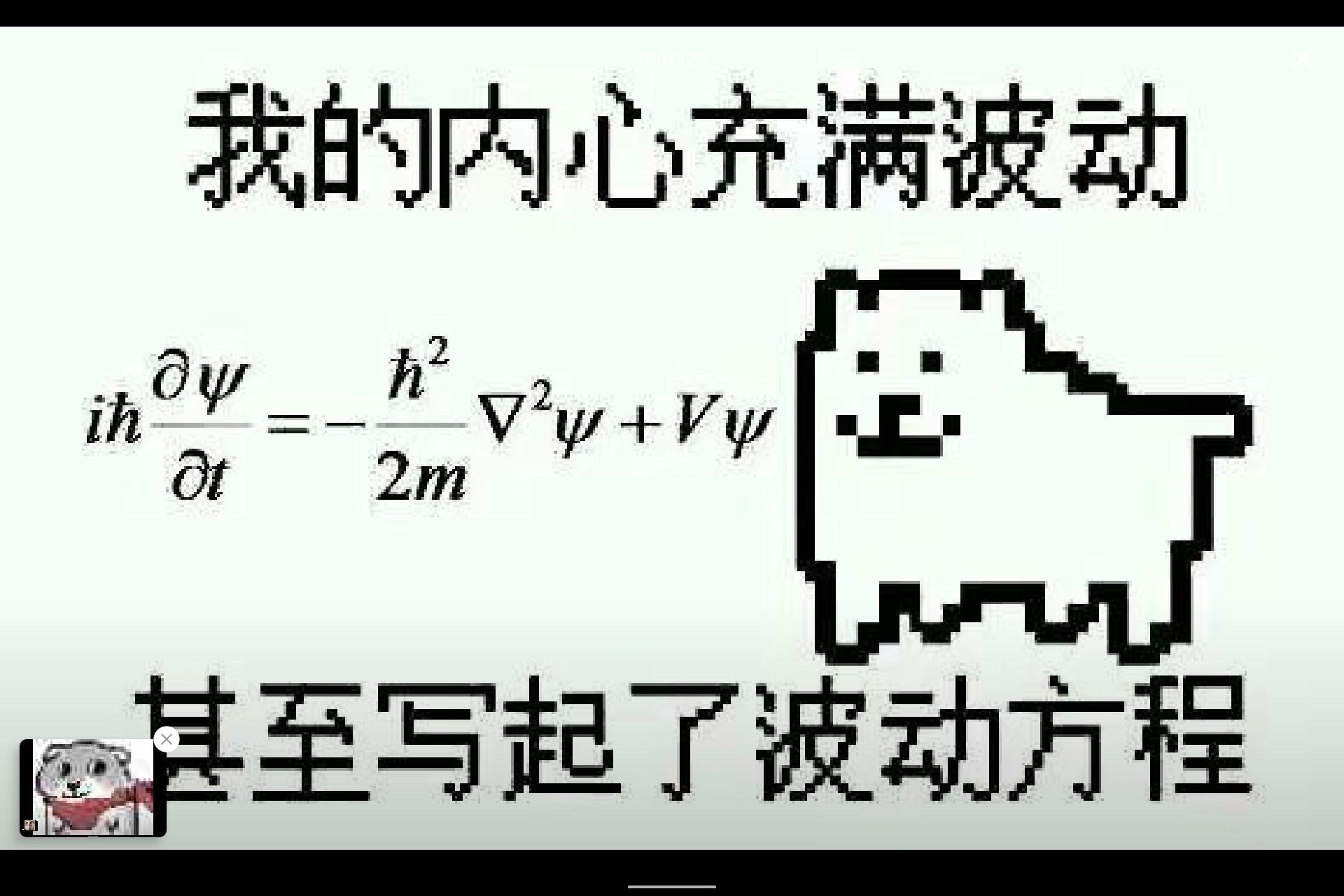 1720246460677.jpg