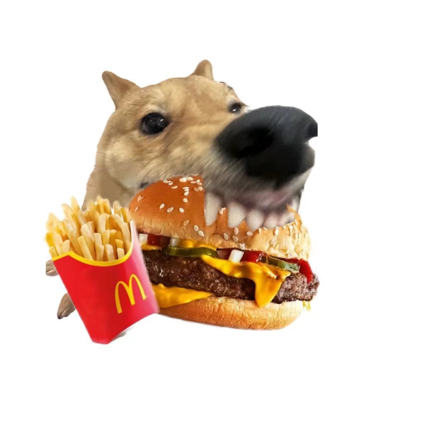 1721868641101.png