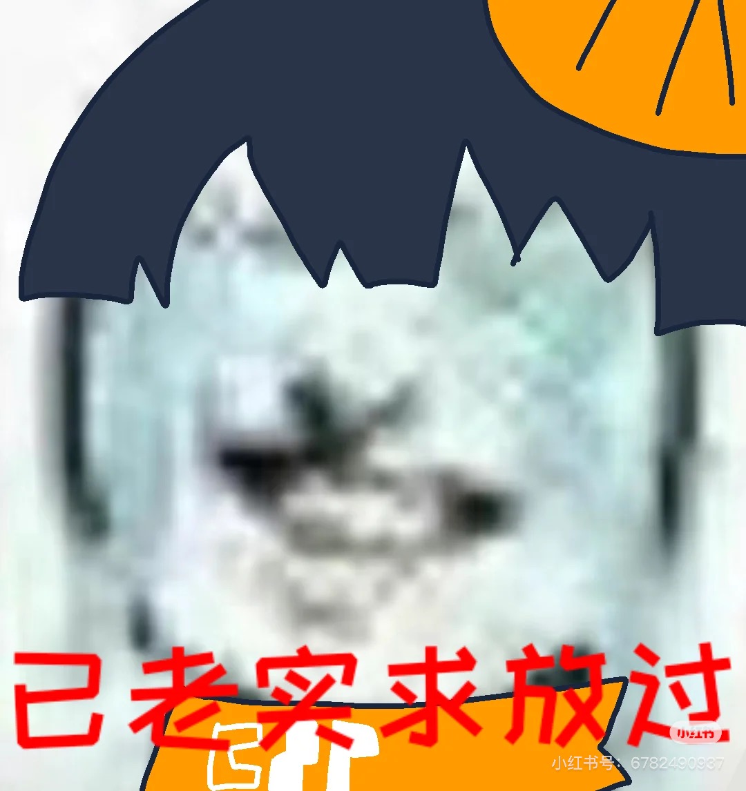 IMG_5629.jpeg