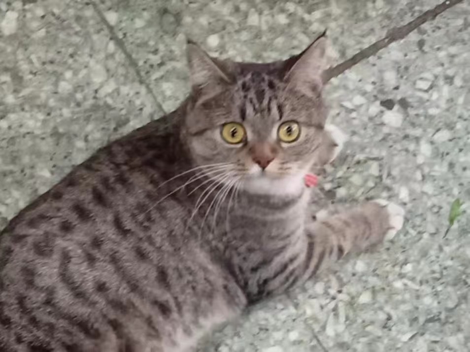 震惊.jpg