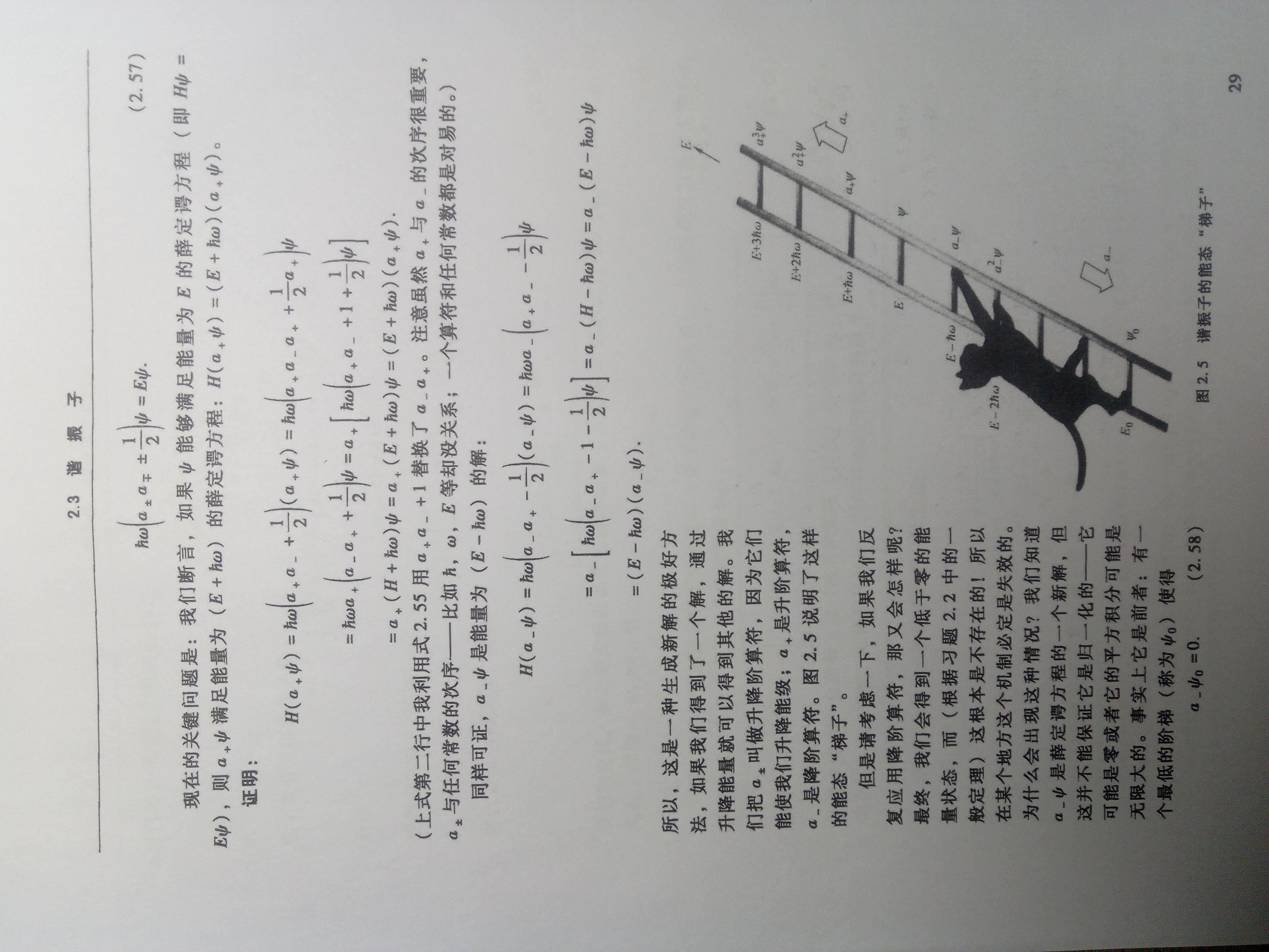 IMG_20240806_234500_376.jpg