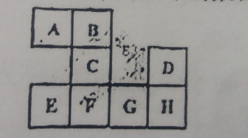 1723019081805.jpg