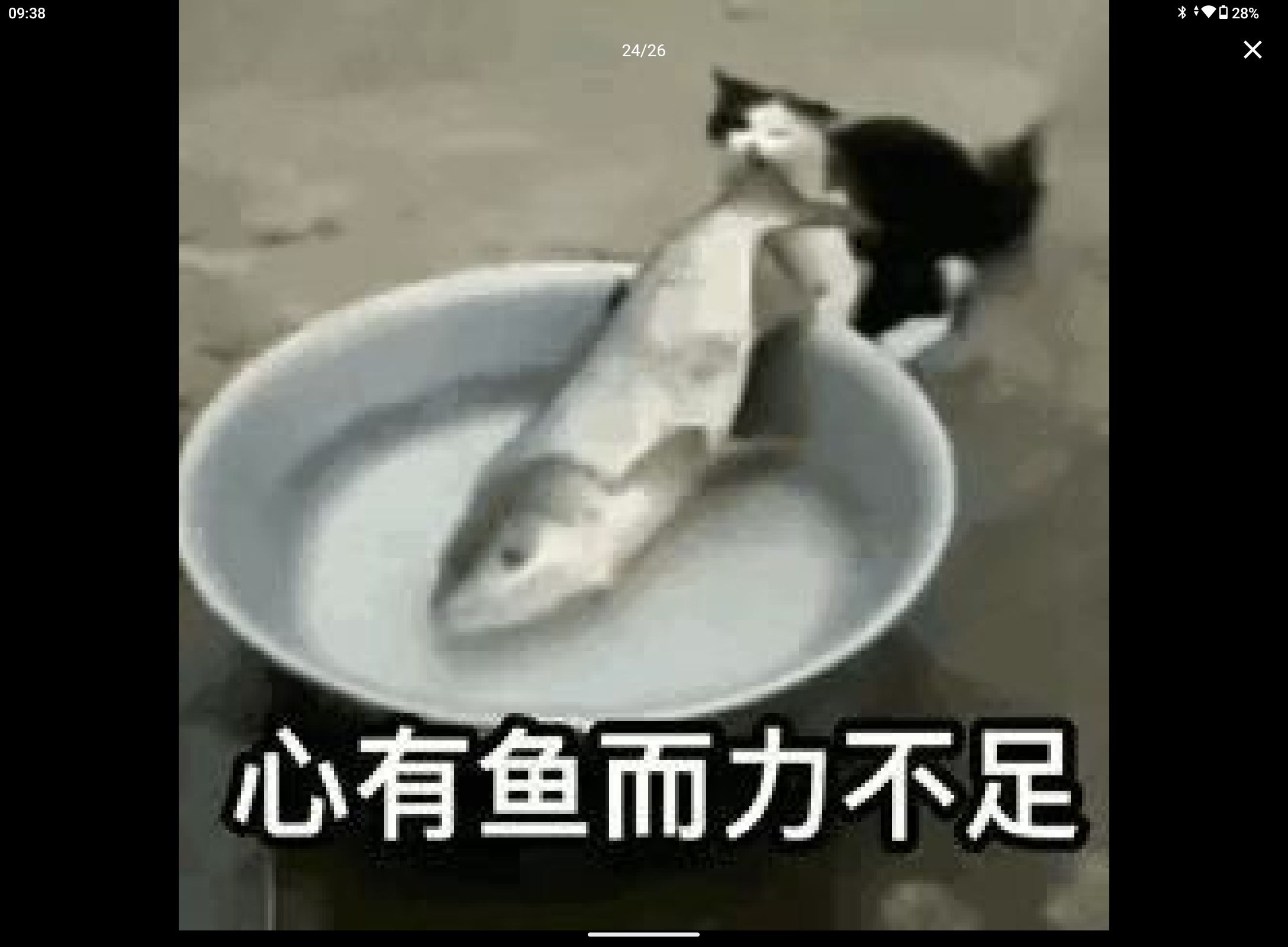 1720858300688.jpg