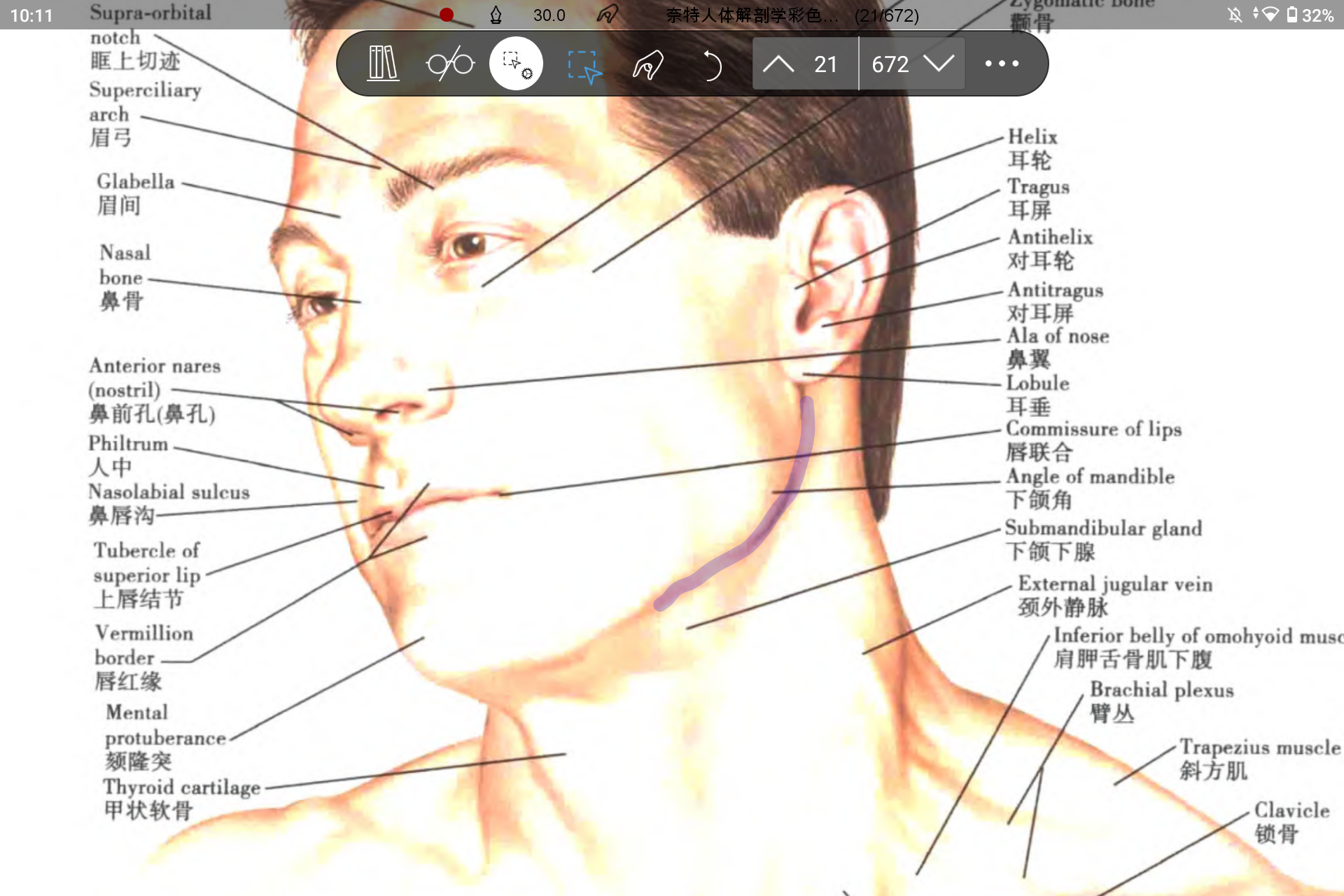 Screenshot_20240808-221131.png