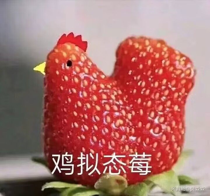 1721398002670.jpg