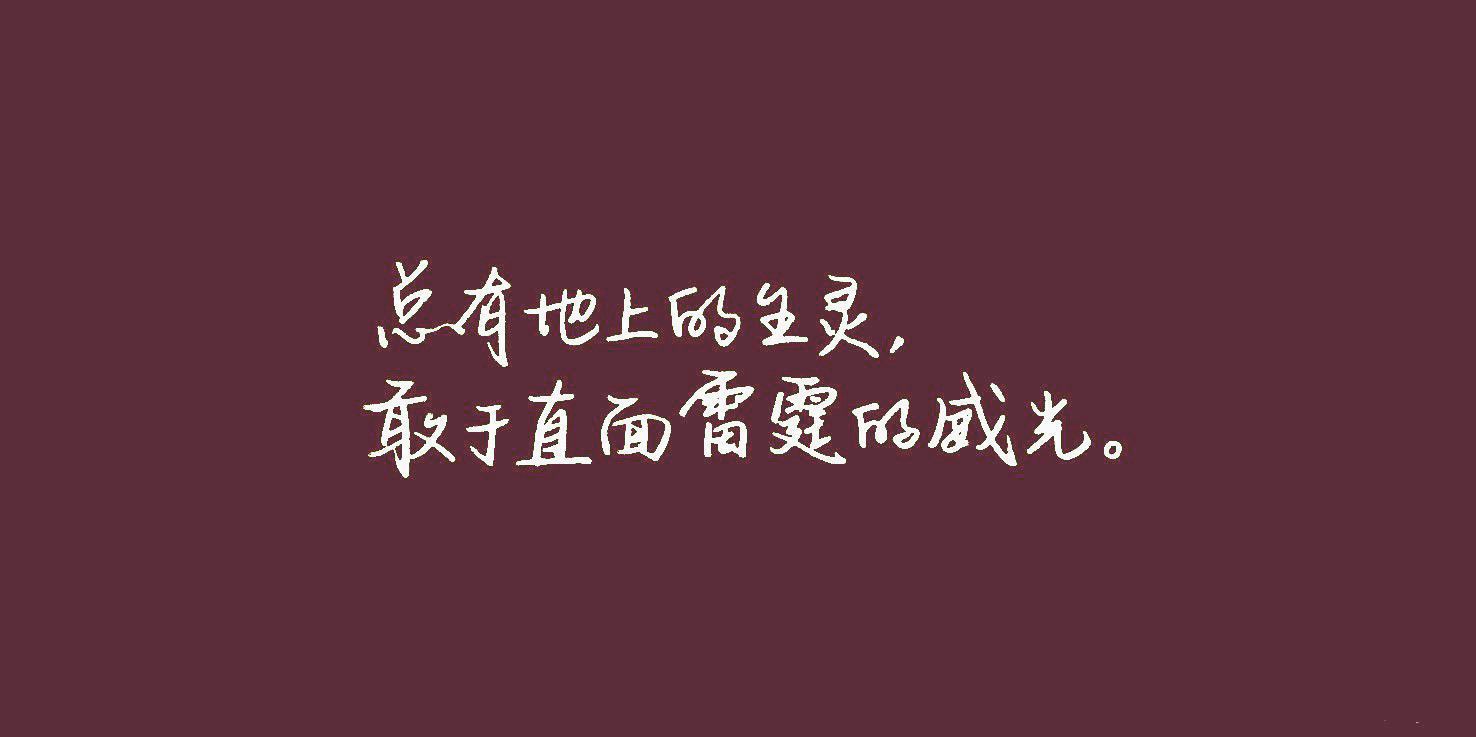 1723084971893.jpg