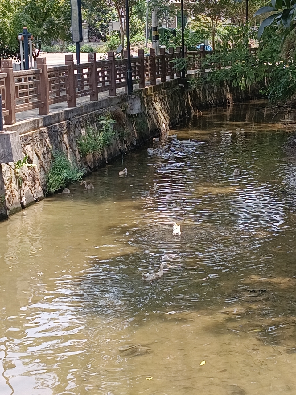 IMG_20240809_120138.jpg