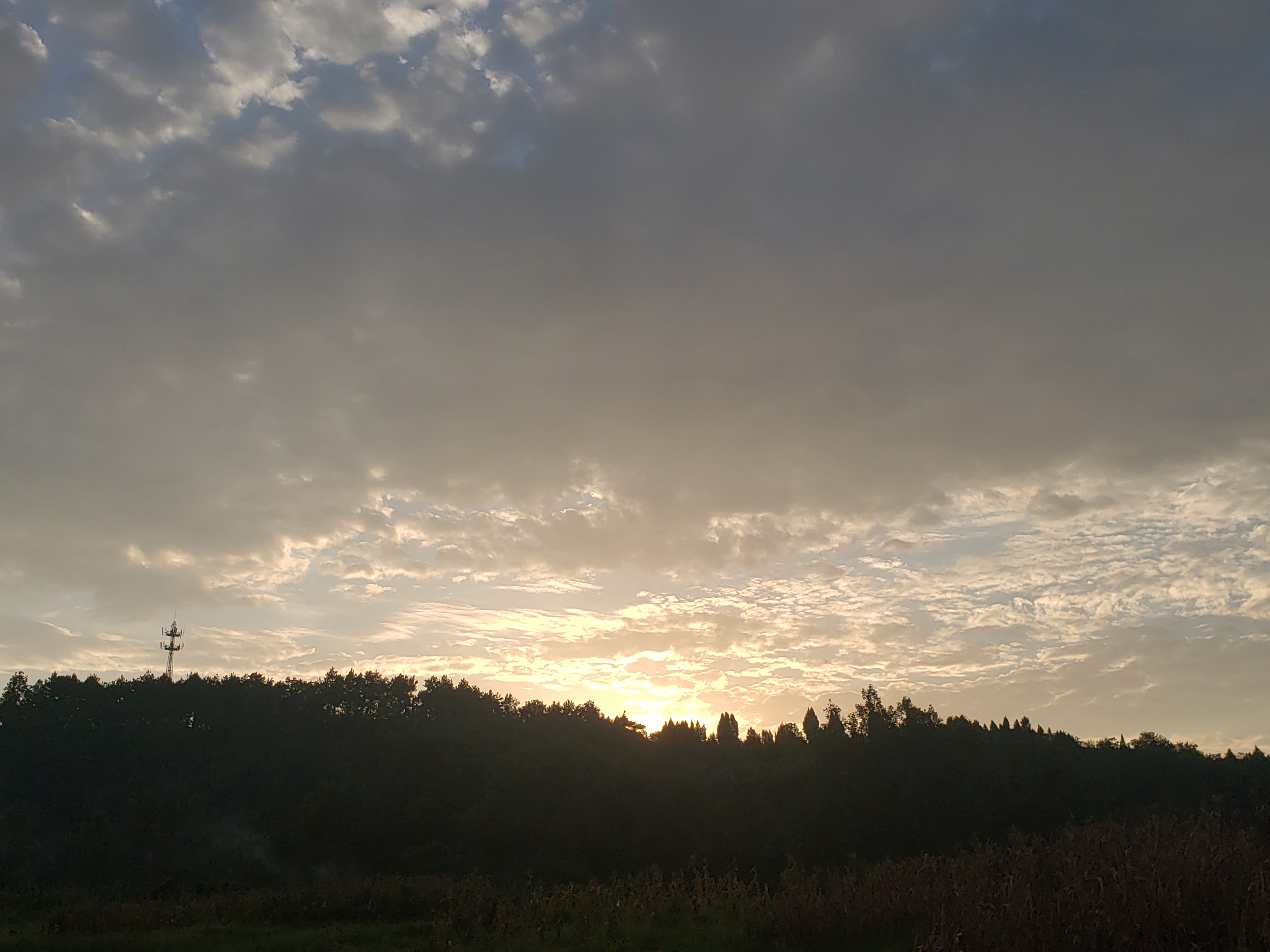 20240815_190828.jpg