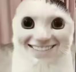 1722726713477.jpg