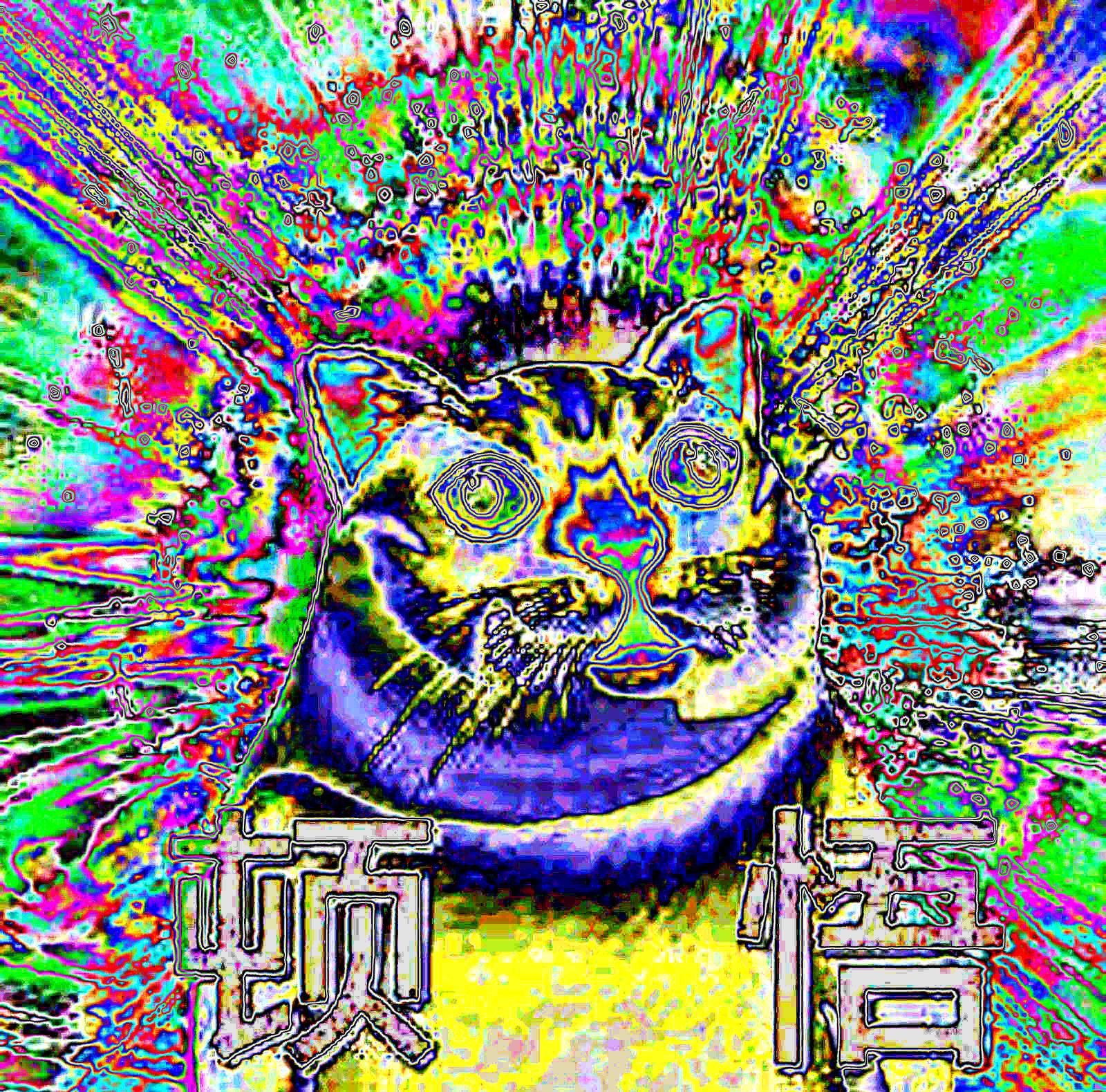 1719022321402.jpg