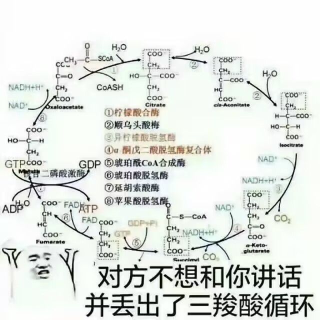 1704555494880.jpg