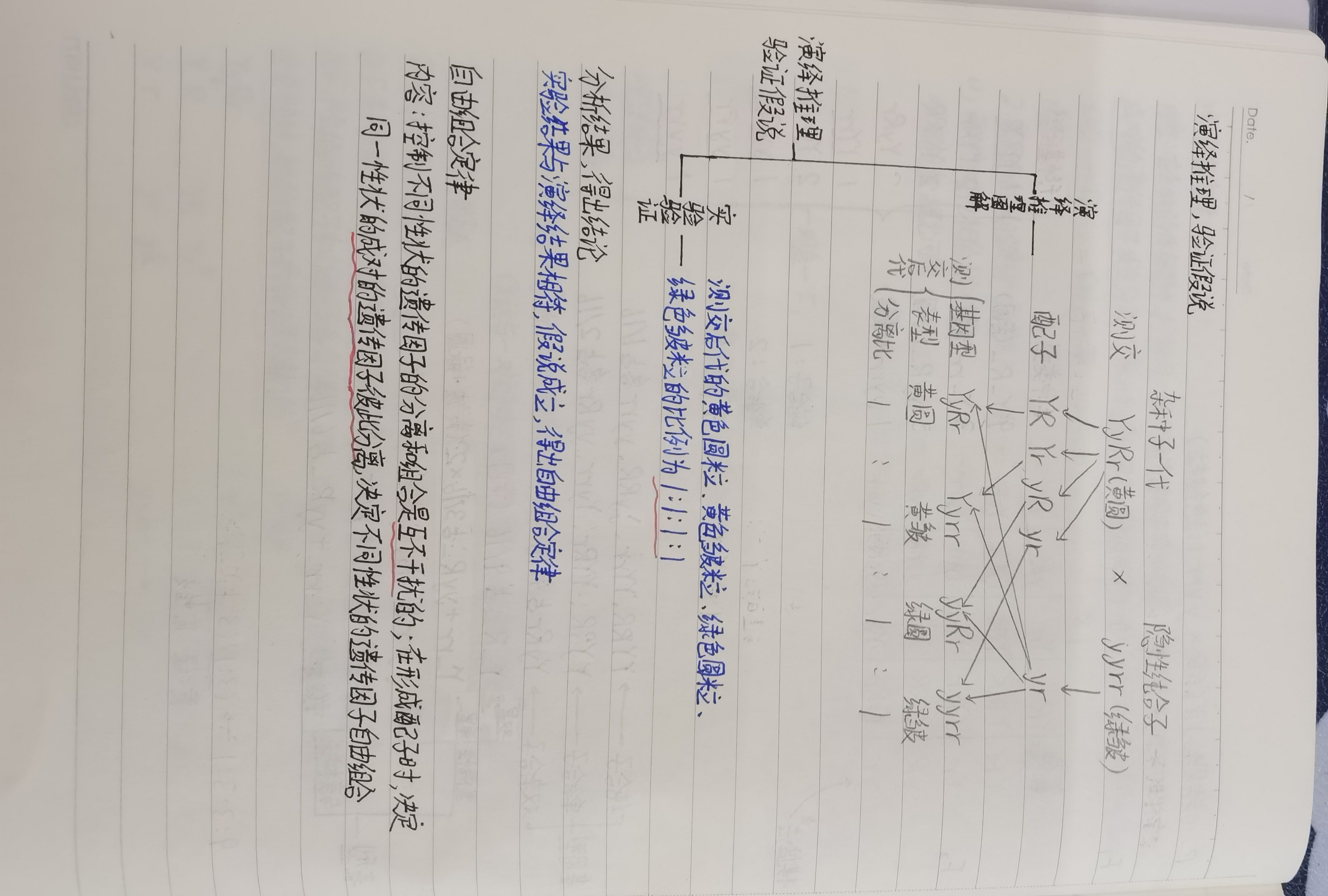 6023375f81397ae057aa633d0b5e626e.jpeg