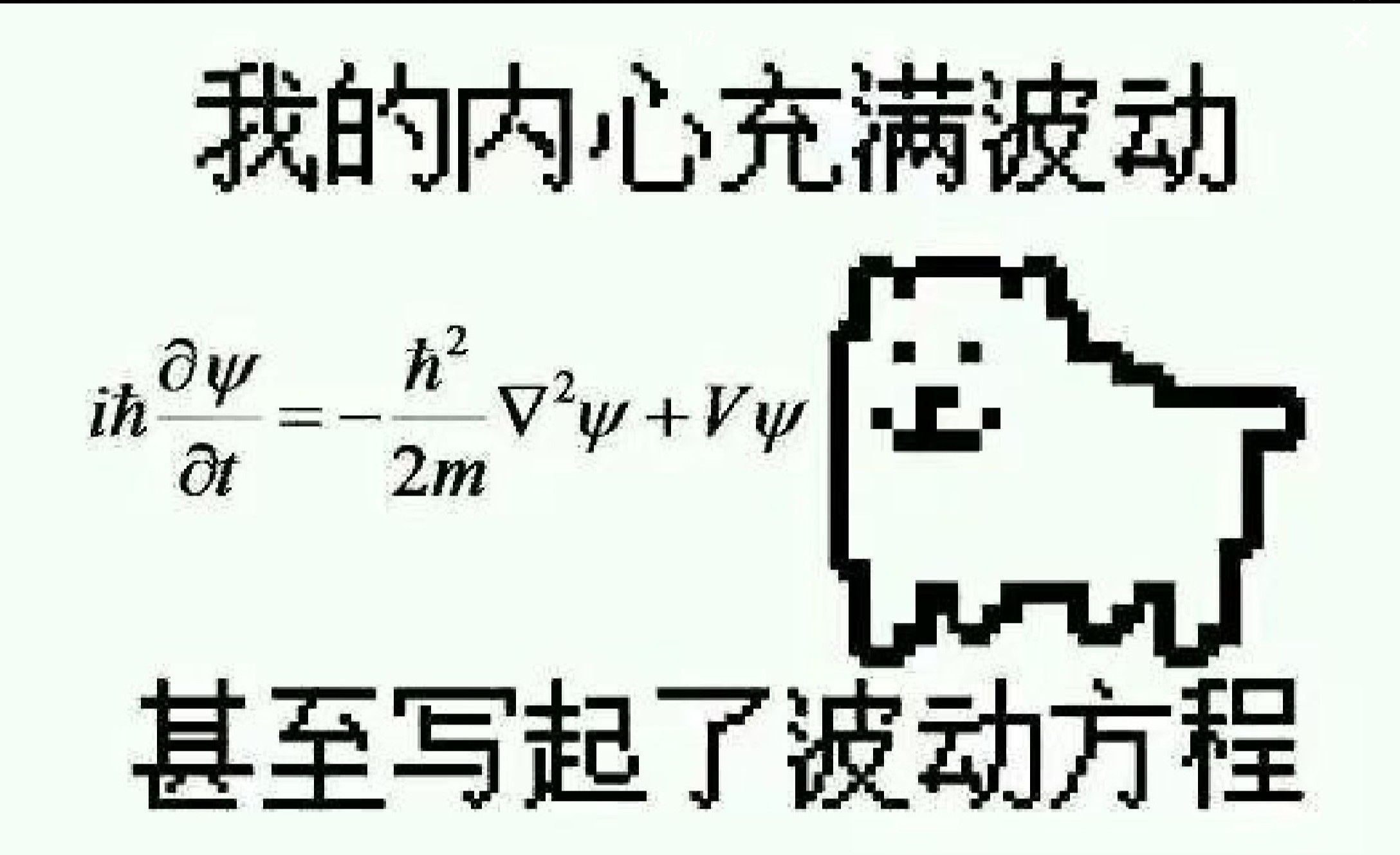 1724835229229.jpg
