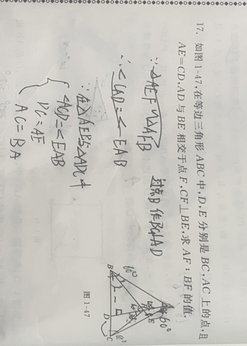 3FDEF60B-4B09-495A-9F1D-96AD0C9B1302.jpeg
