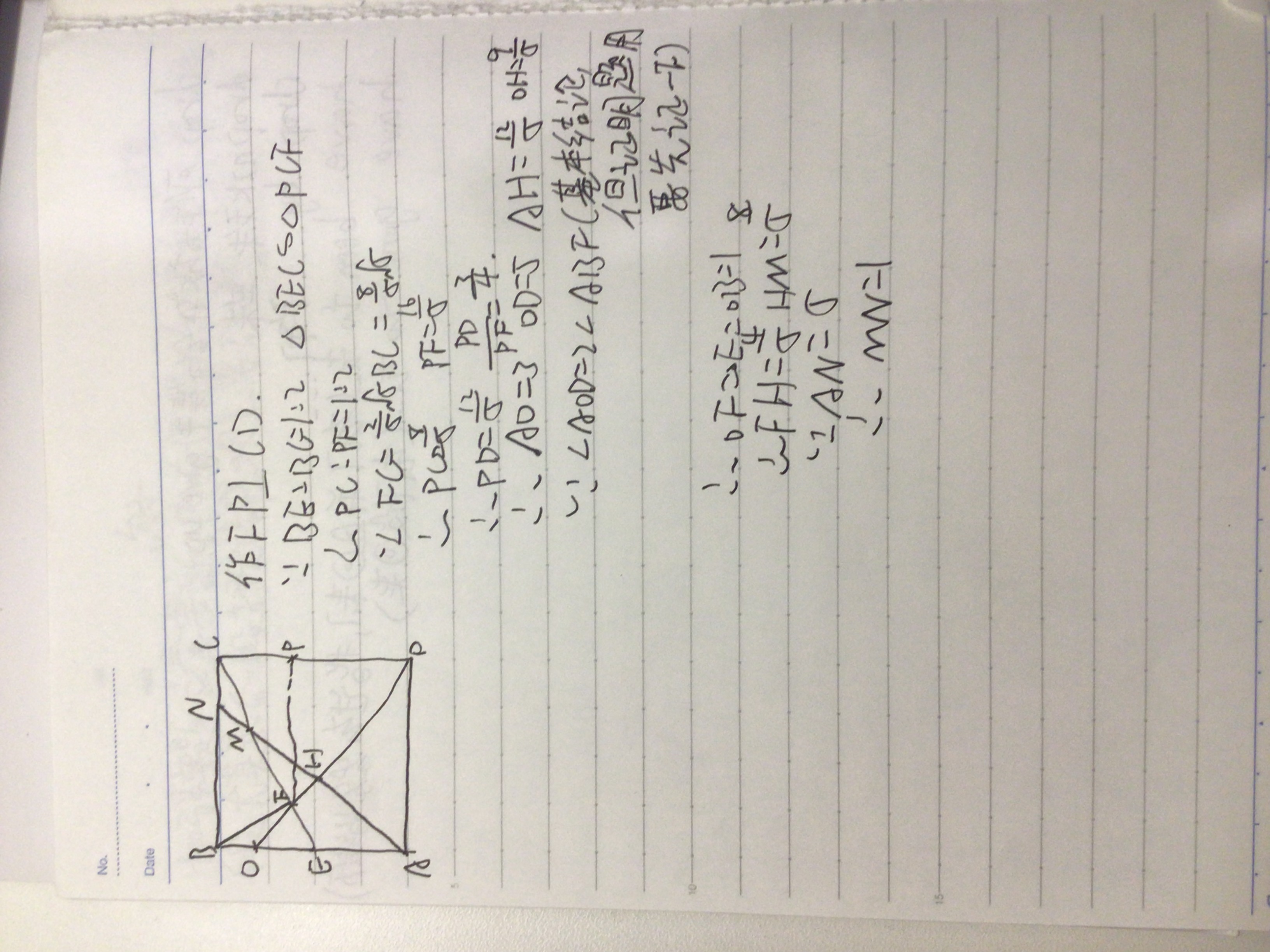 IMG_0779.jpeg