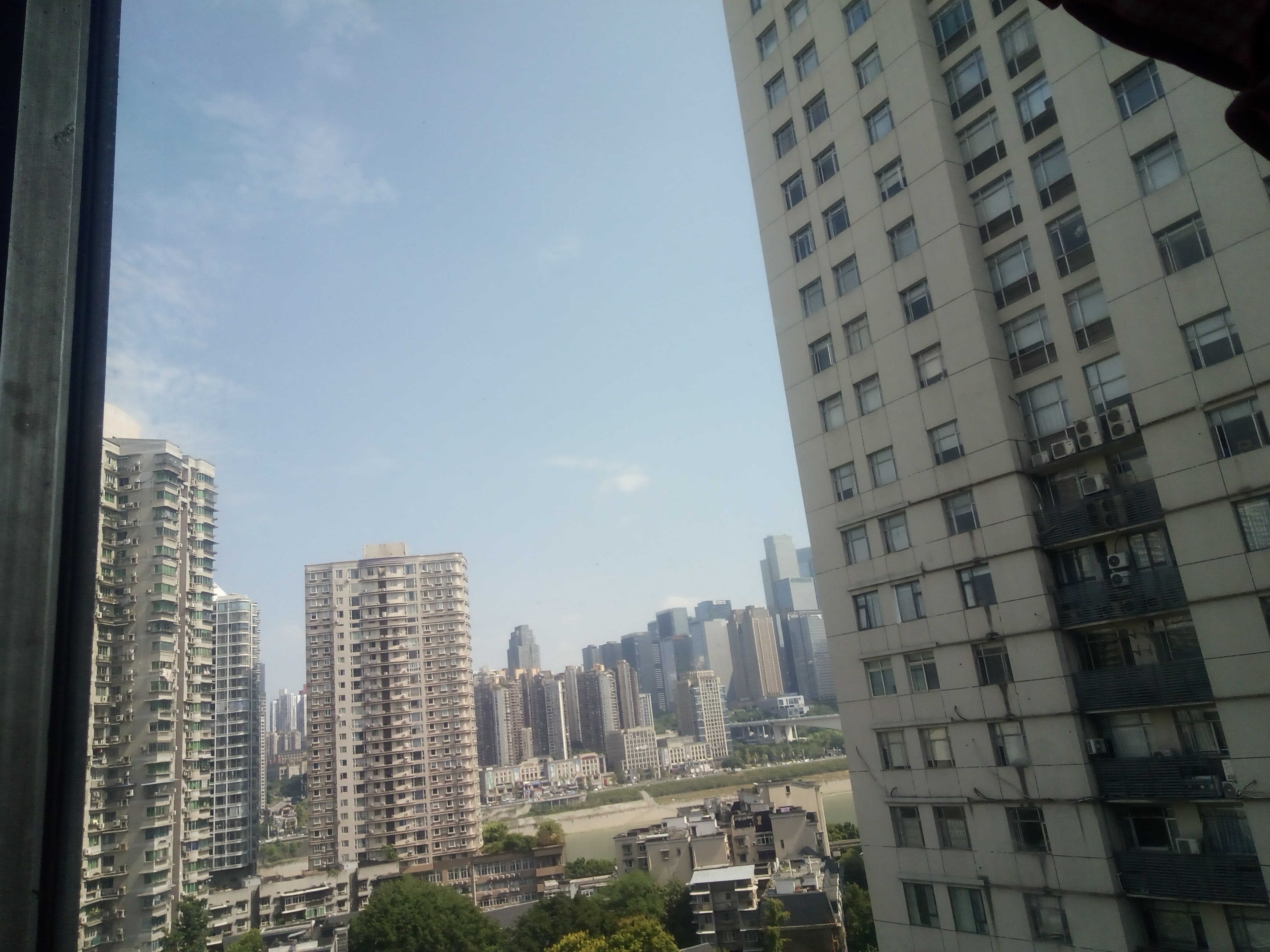 IMG_20240916_111239_956.jpg
