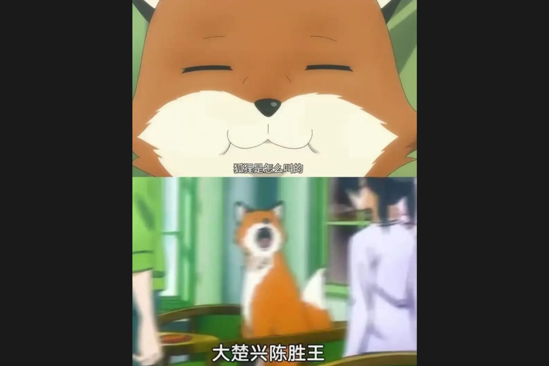 Screenshot_20240923-231358.png
