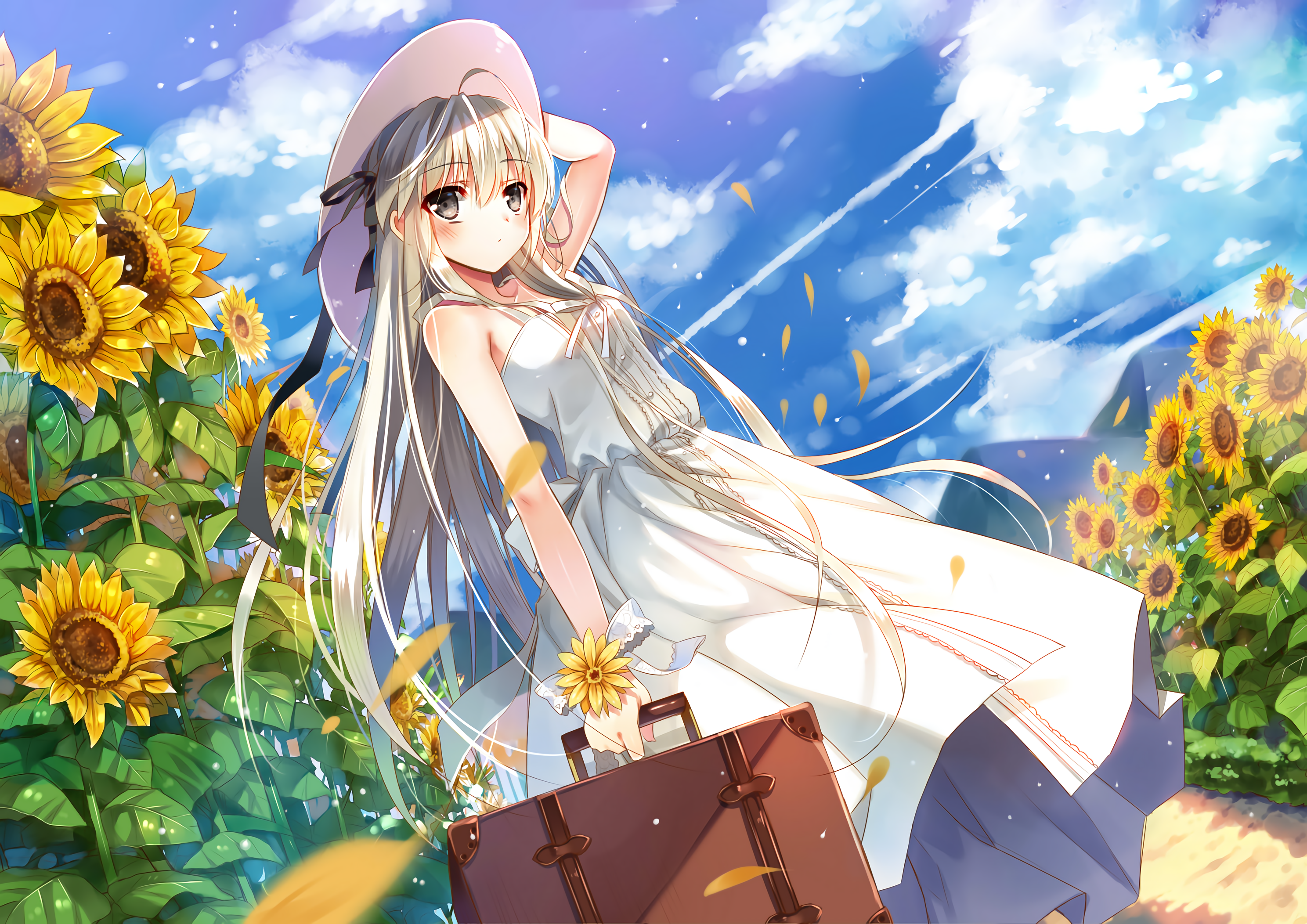 v2-d22a7ffeb0714fd5c7a59511f418f92f_r.png