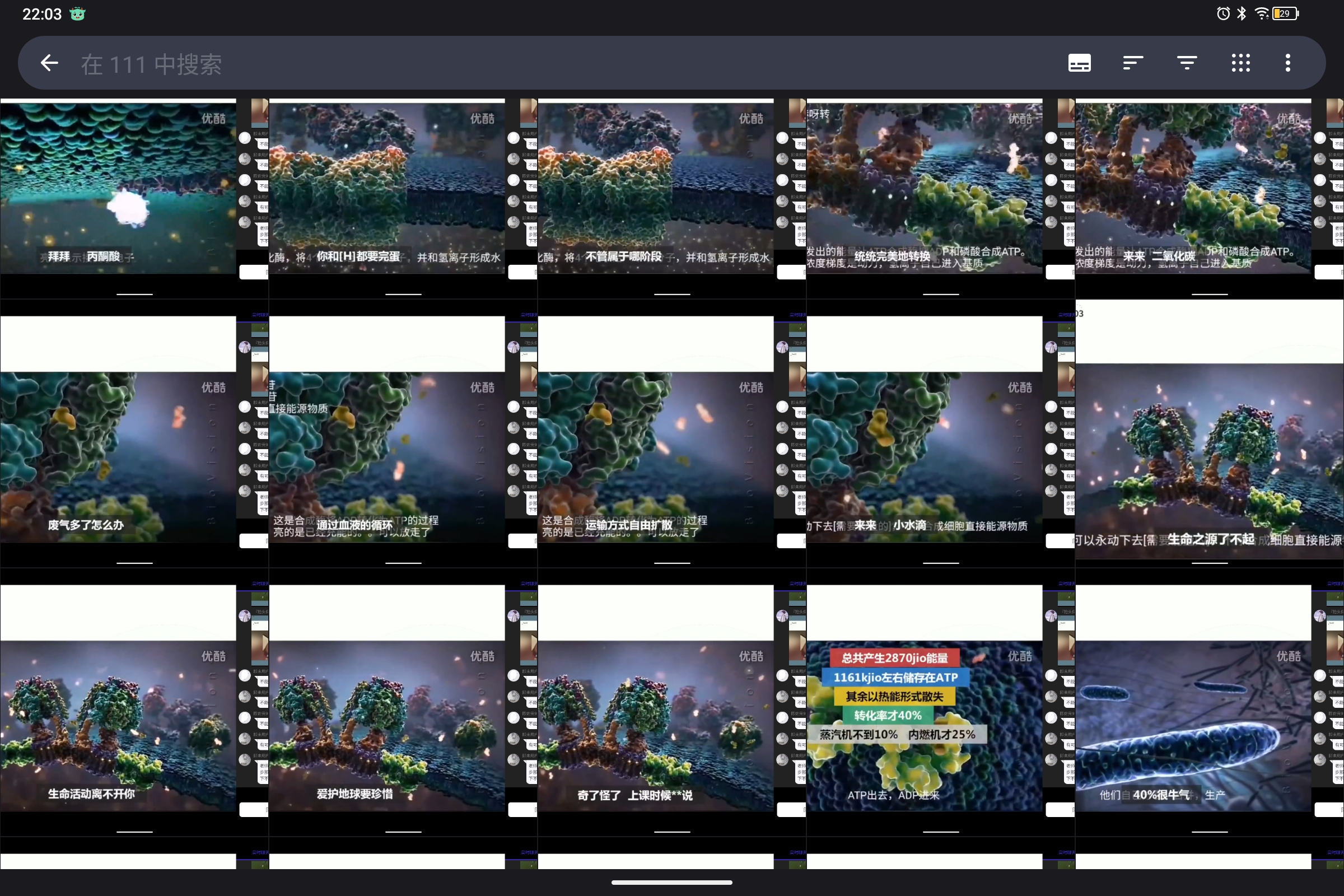 Screenshot_2024-10-13-22-03-21-249.jpg
