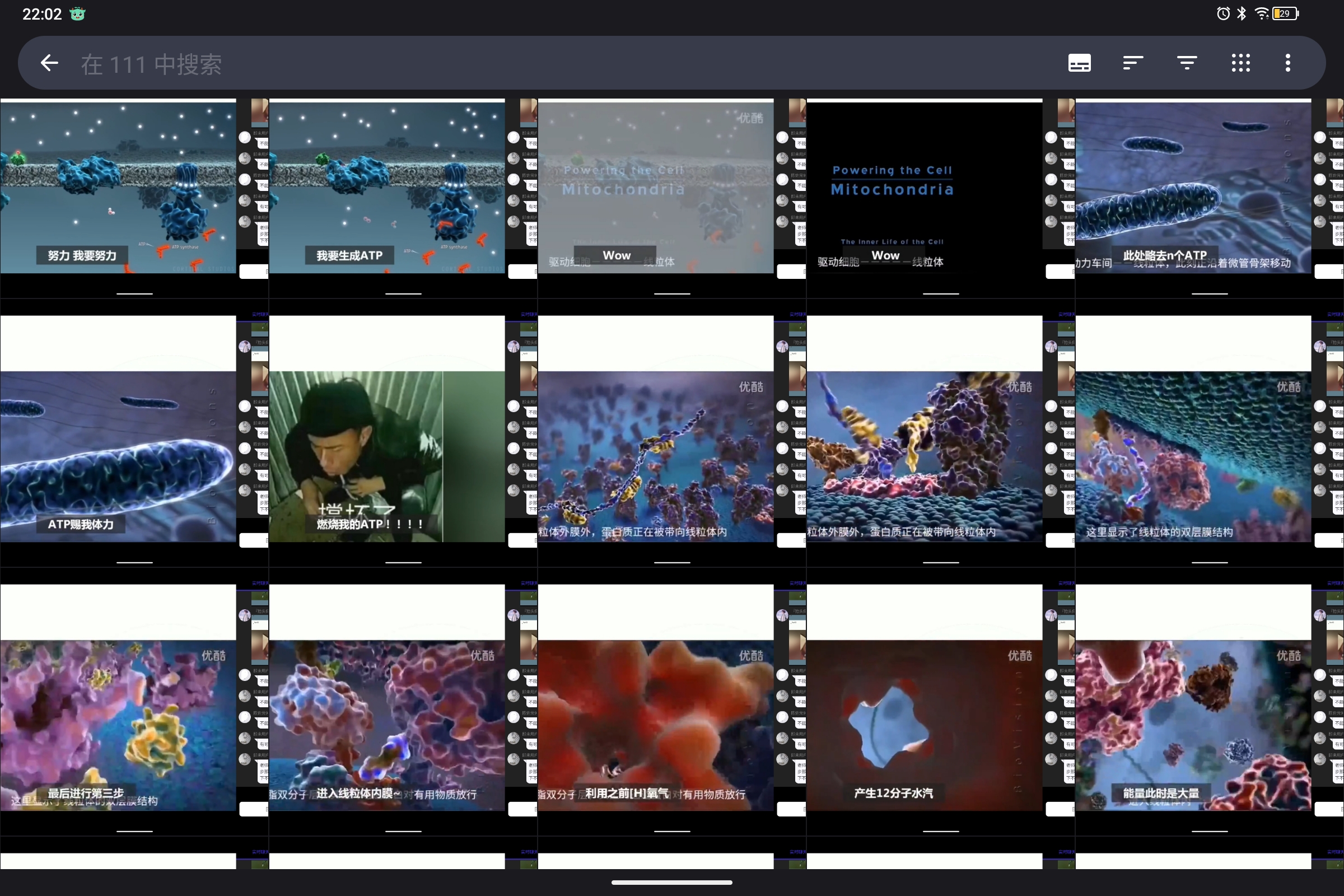 Screenshot_2024-10-13-22-02-53-951.jpg
