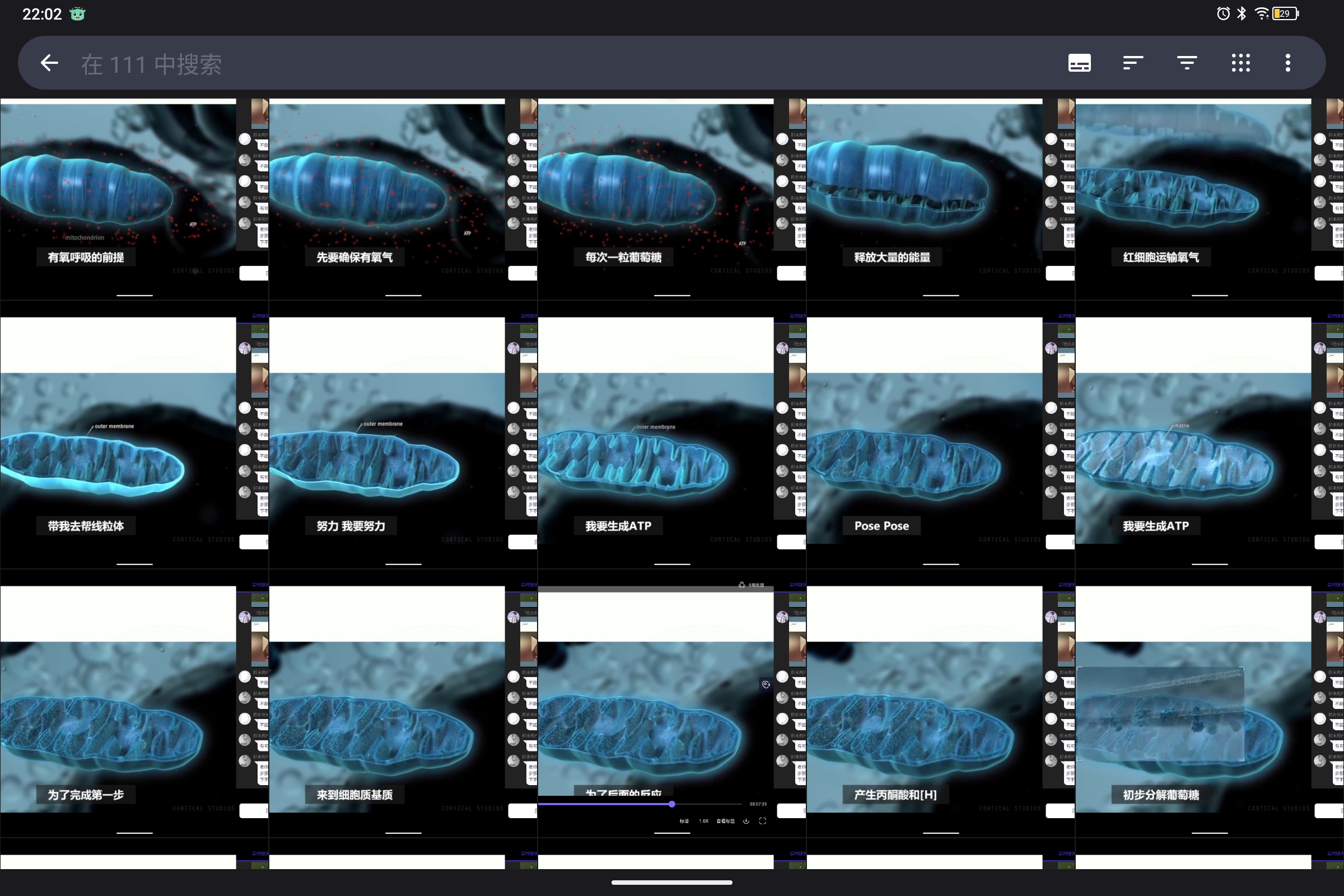 Screenshot_2024-10-13-22-02-34-789.jpg