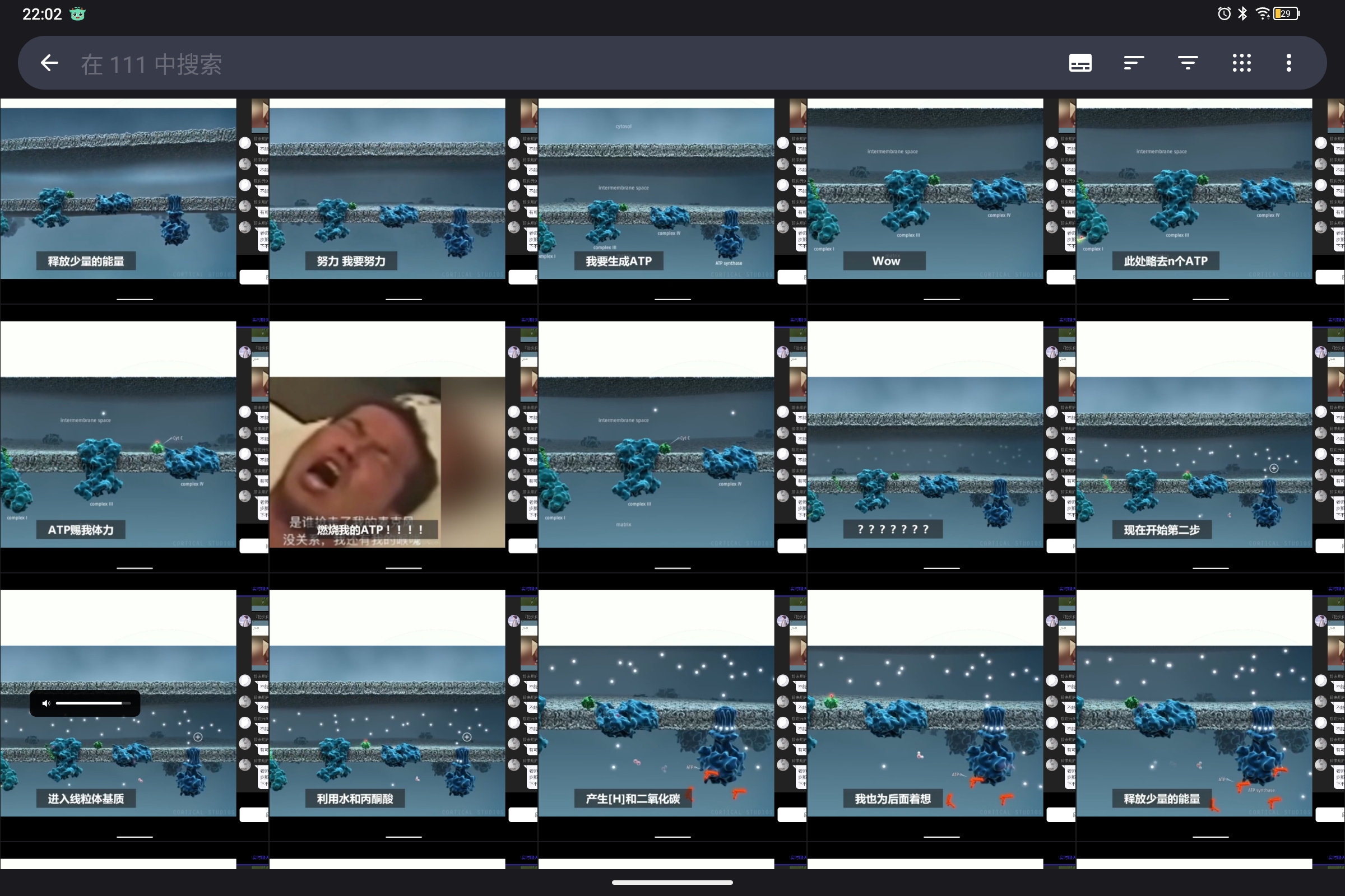 Screenshot_2024-10-13-22-02-47-392.jpg