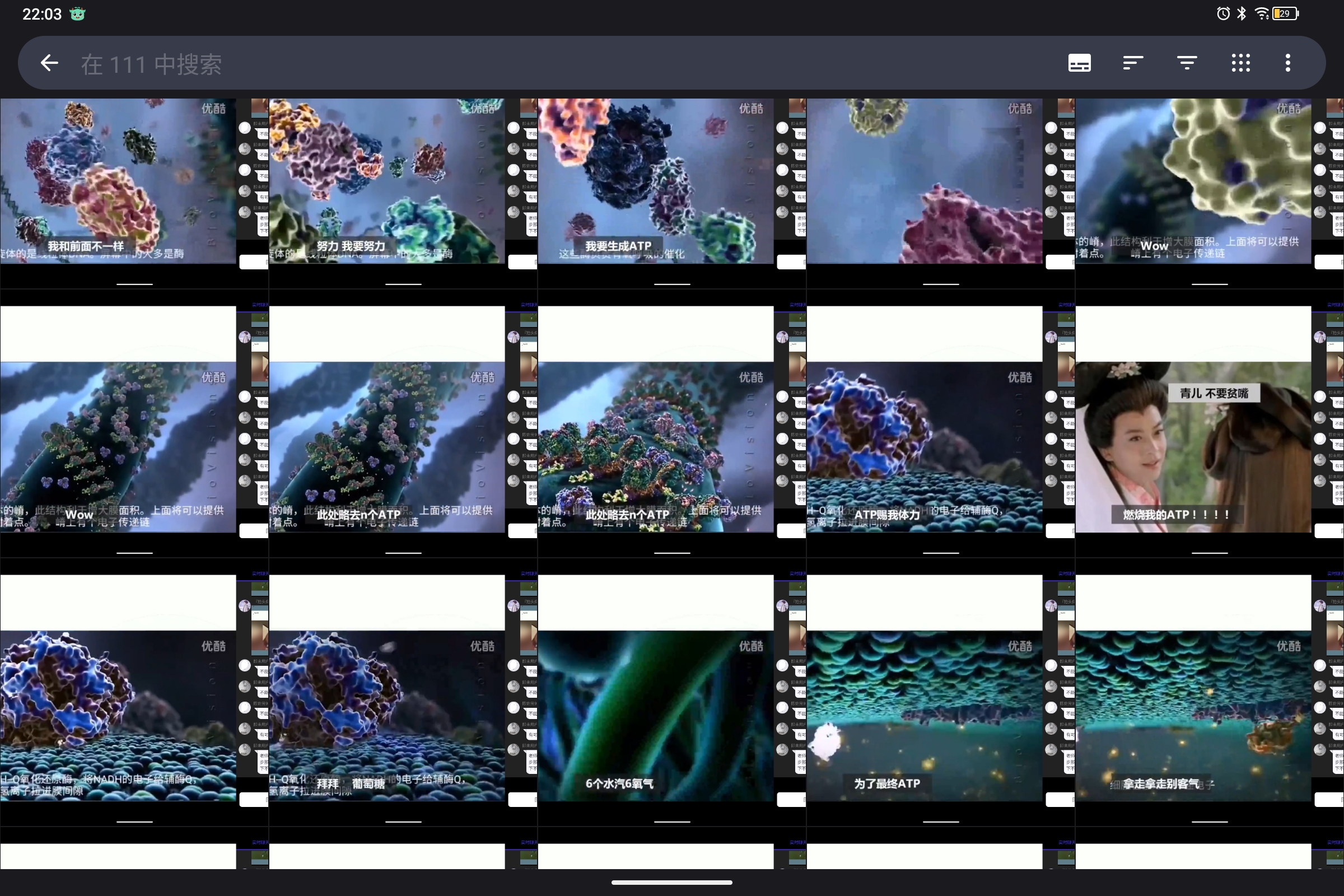 Screenshot_2024-10-13-22-03-14-649.jpg
