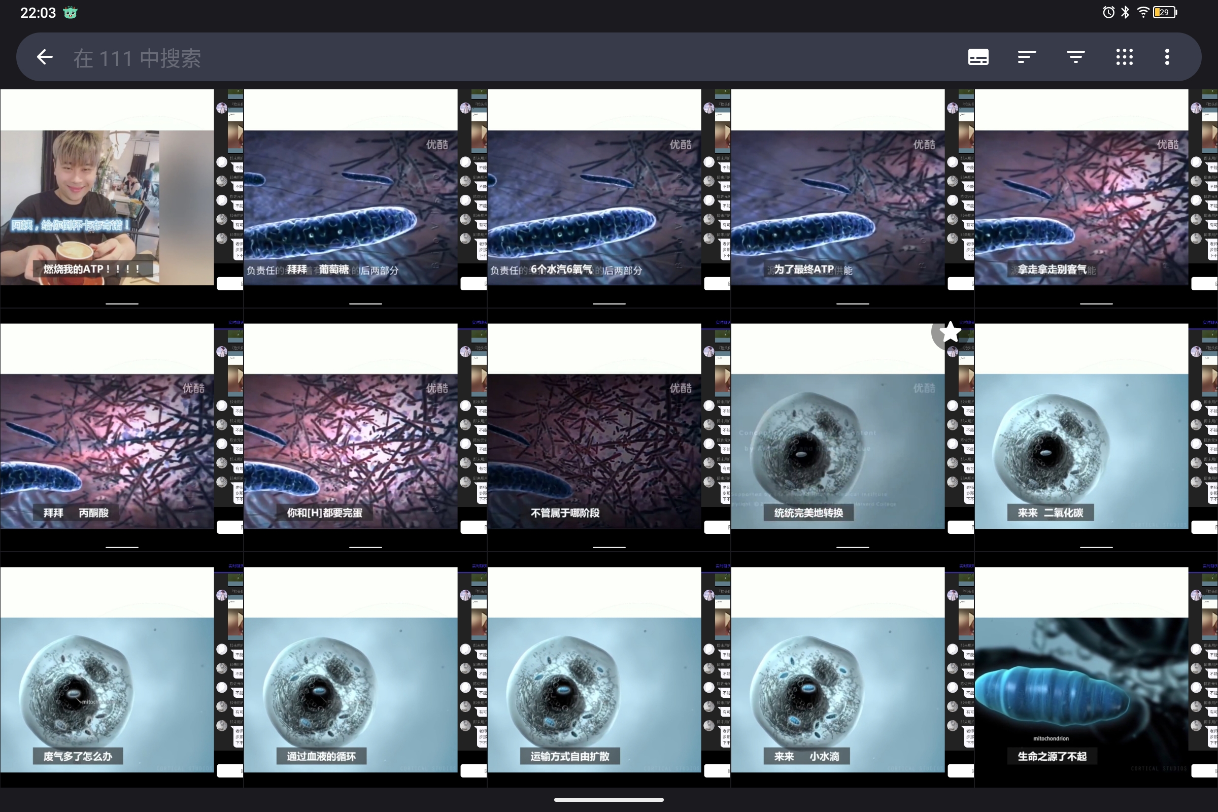 Screenshot_2024-10-13-22-03-28-035.jpg